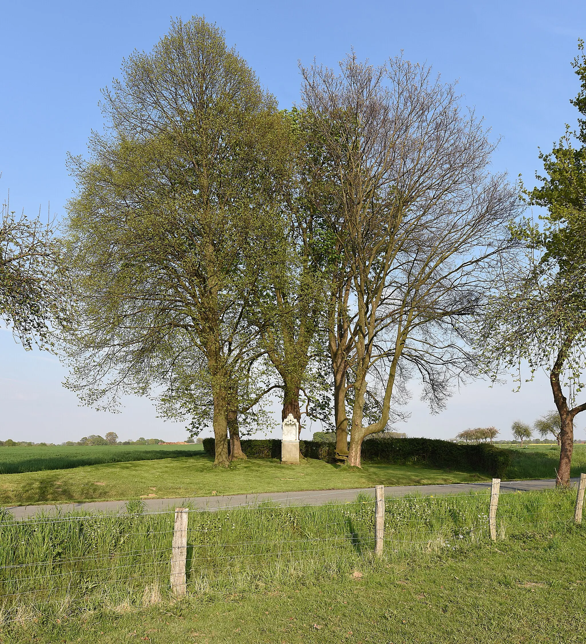 Photo showing: Ehemaliges Naturdenkmal „Kastanie“ im Kreis Soest in Lippetal bei Hultrop an der Straße Auf dem Tigge. Die Kastanie steht hinter dem Bildstock.
Koordinaten des Standortes: N 051° 38.909' O 008° 03.519'