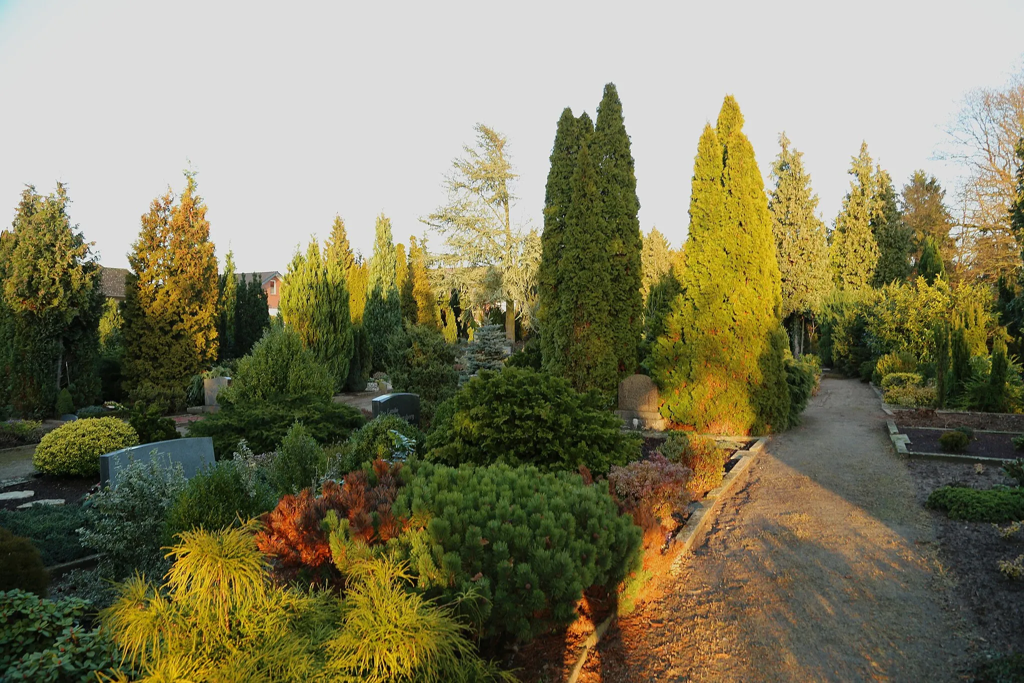 Photo showing: Old Protestant Cemetery Wersen (Alter Evangelischer Friedhof Wersen) in Lotte-Wersen, Kreis Steinfurt, North Rhine-Westphalia, Germany.