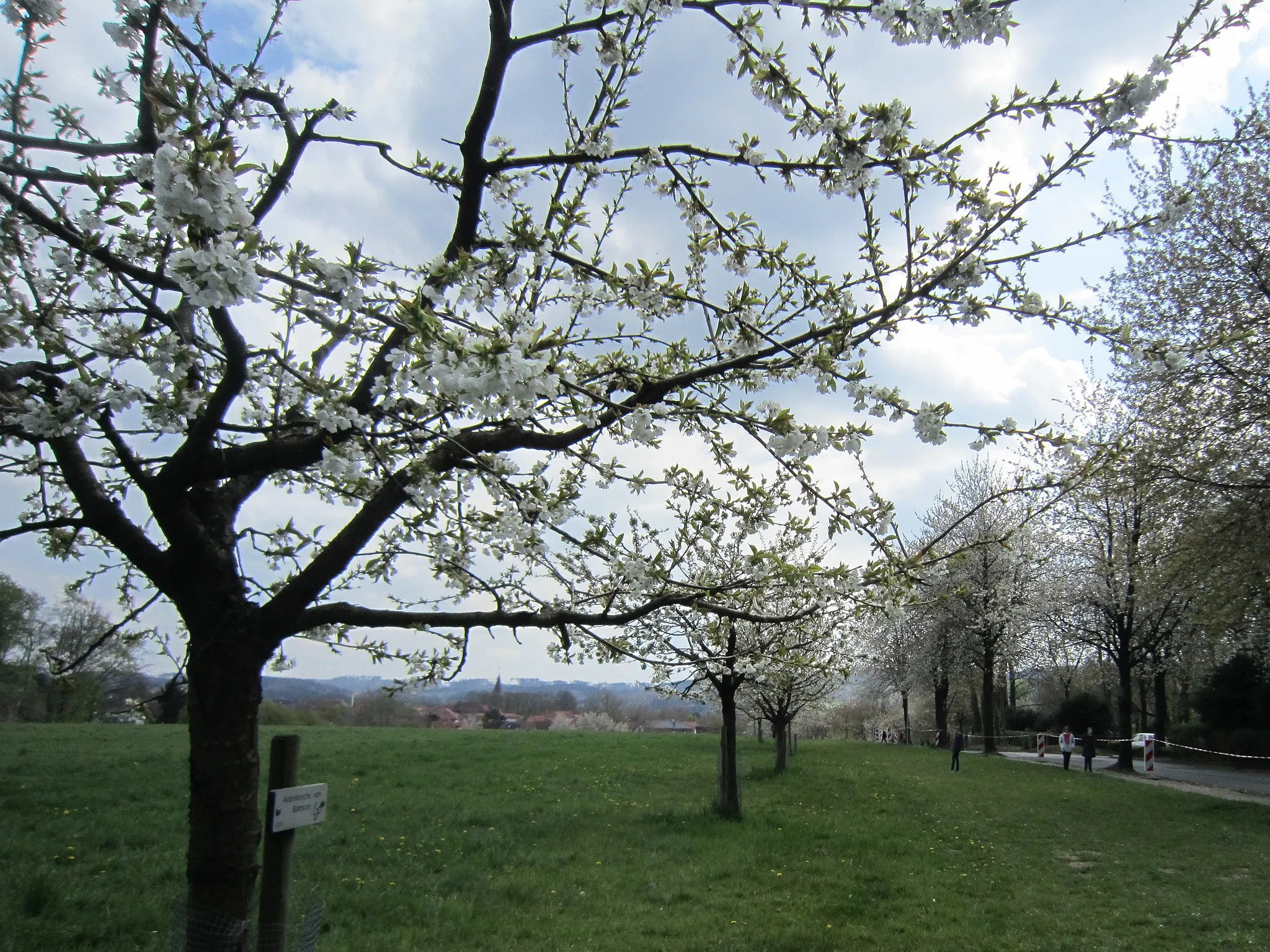 Photo showing: 2,5 km langer Kirschlehrpfad beim Schultenholz in Hagen am Teutoburger Wald (Landkreis Osnabrück)