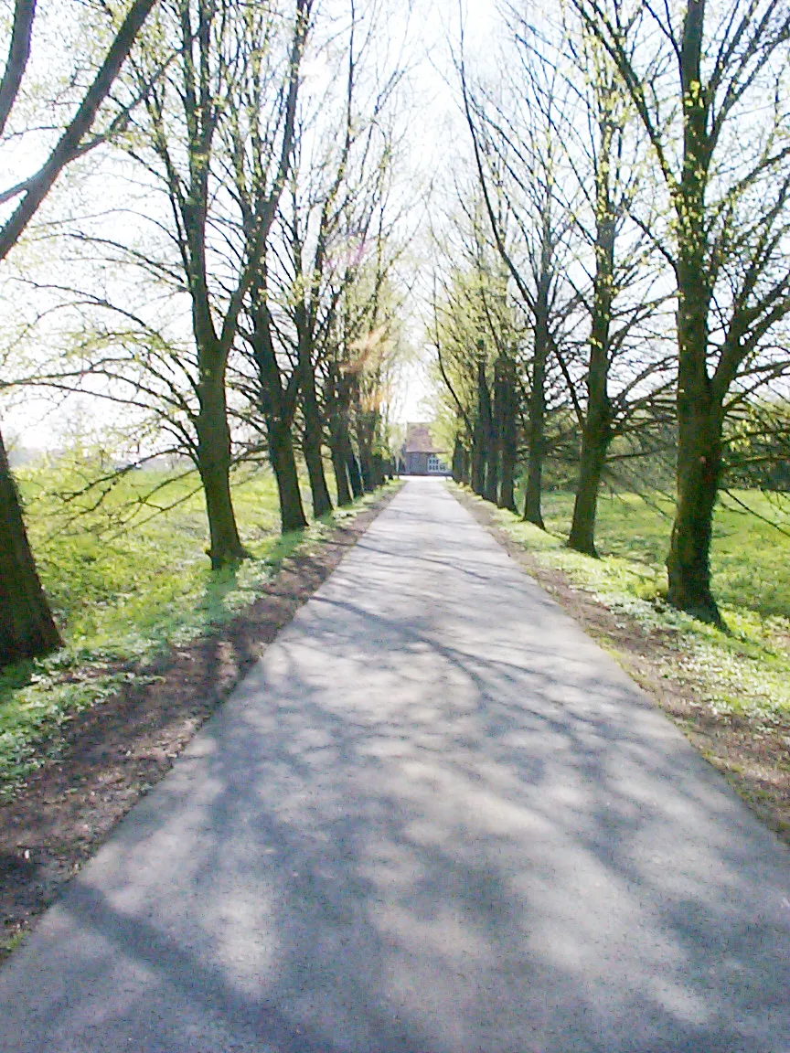 Photo showing: Avenue near a little stately home near Ahlen, Germany.