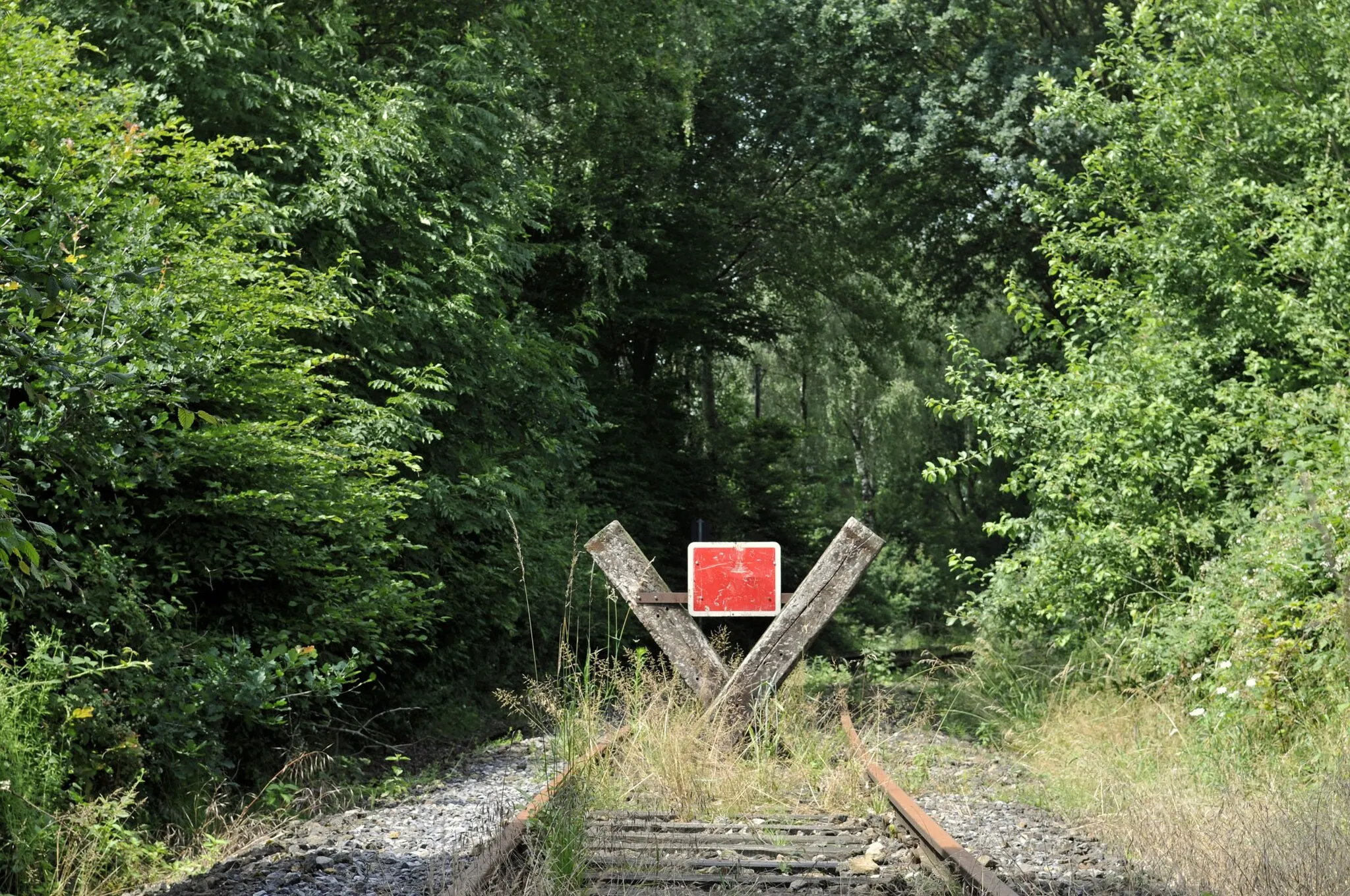 Photo showing: TWE-Strecke bei Tecklenburg, seit Sperrung der Teutoburger Wald-Eisenbahn im September 2010 ergreift die Natur Besitz von den unbefahrenen Gleisen