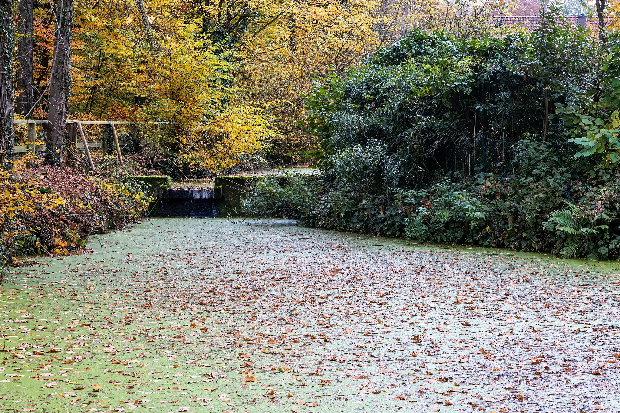 Photo showing: Moat in Hohenholte, Havixbeck, North Rhine-Westphalia, Germany