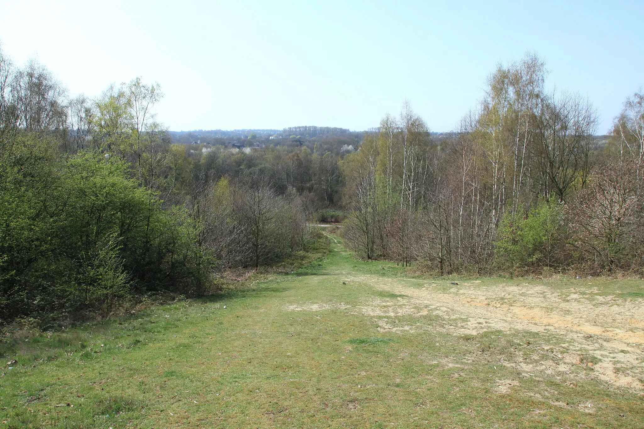 Photo showing: Mechtenberg im Naturschutzgebiet Mechtenberg in Essen