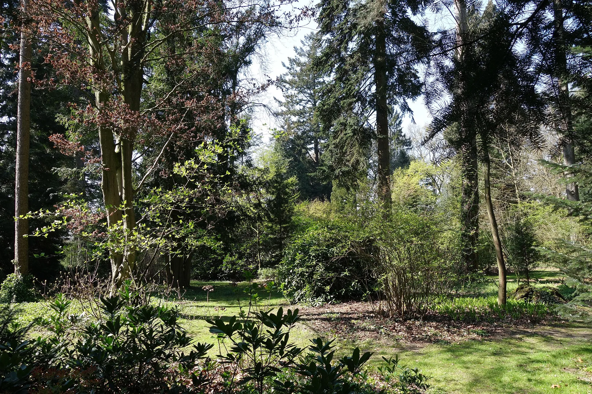 Photo showing: Botanischer Garten Loismann, Frühlingsaspekt
