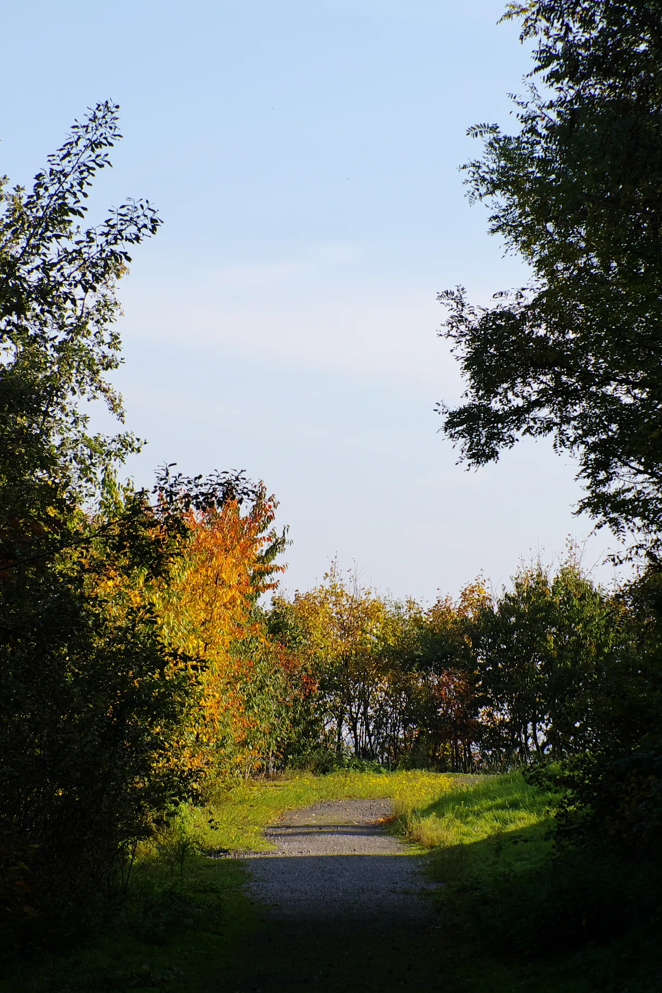 Photo showing: Halde "Kissinger Höhe" in Hamm.