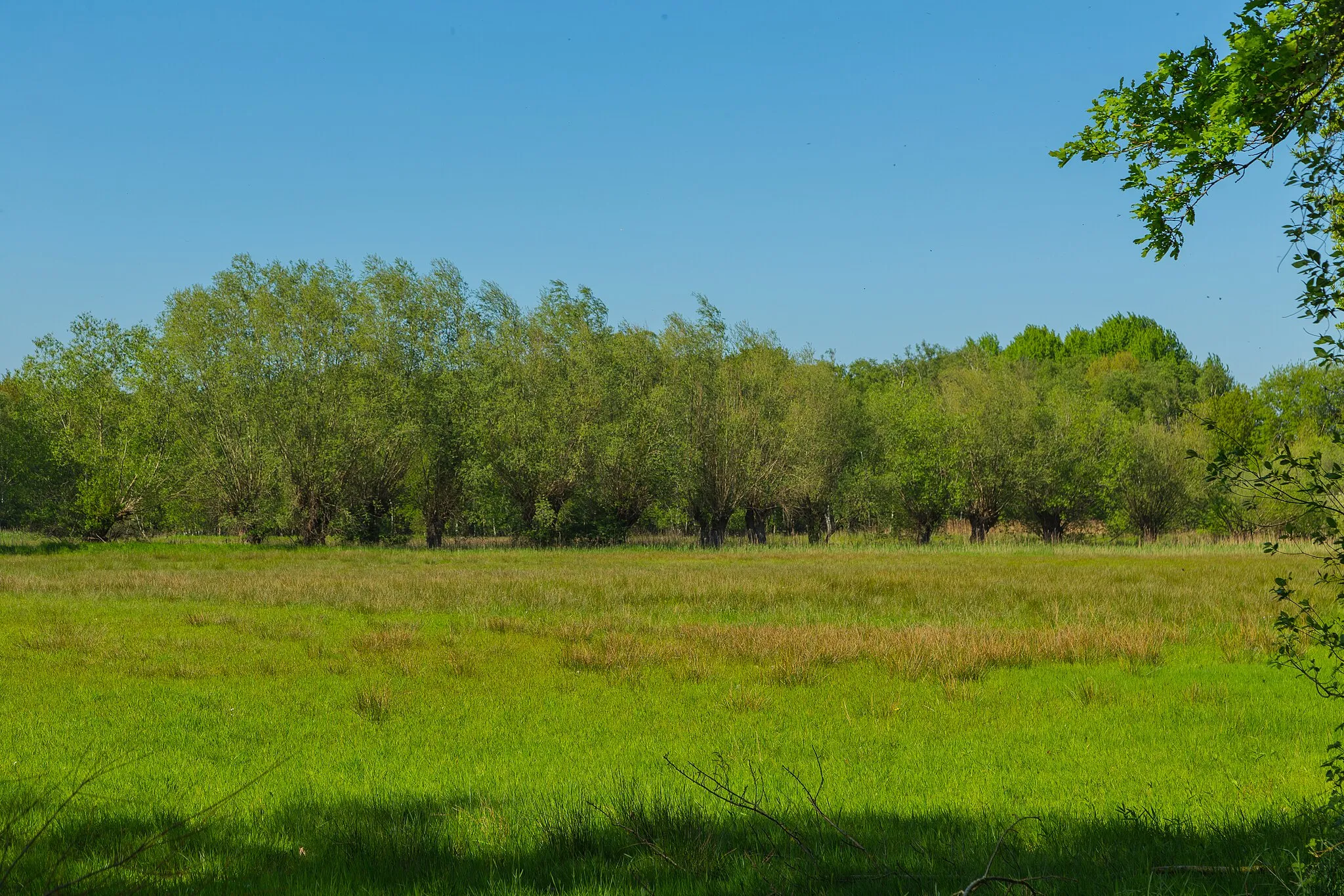 Photo showing: This is a picture of the protected area listed at WDPA under the ID