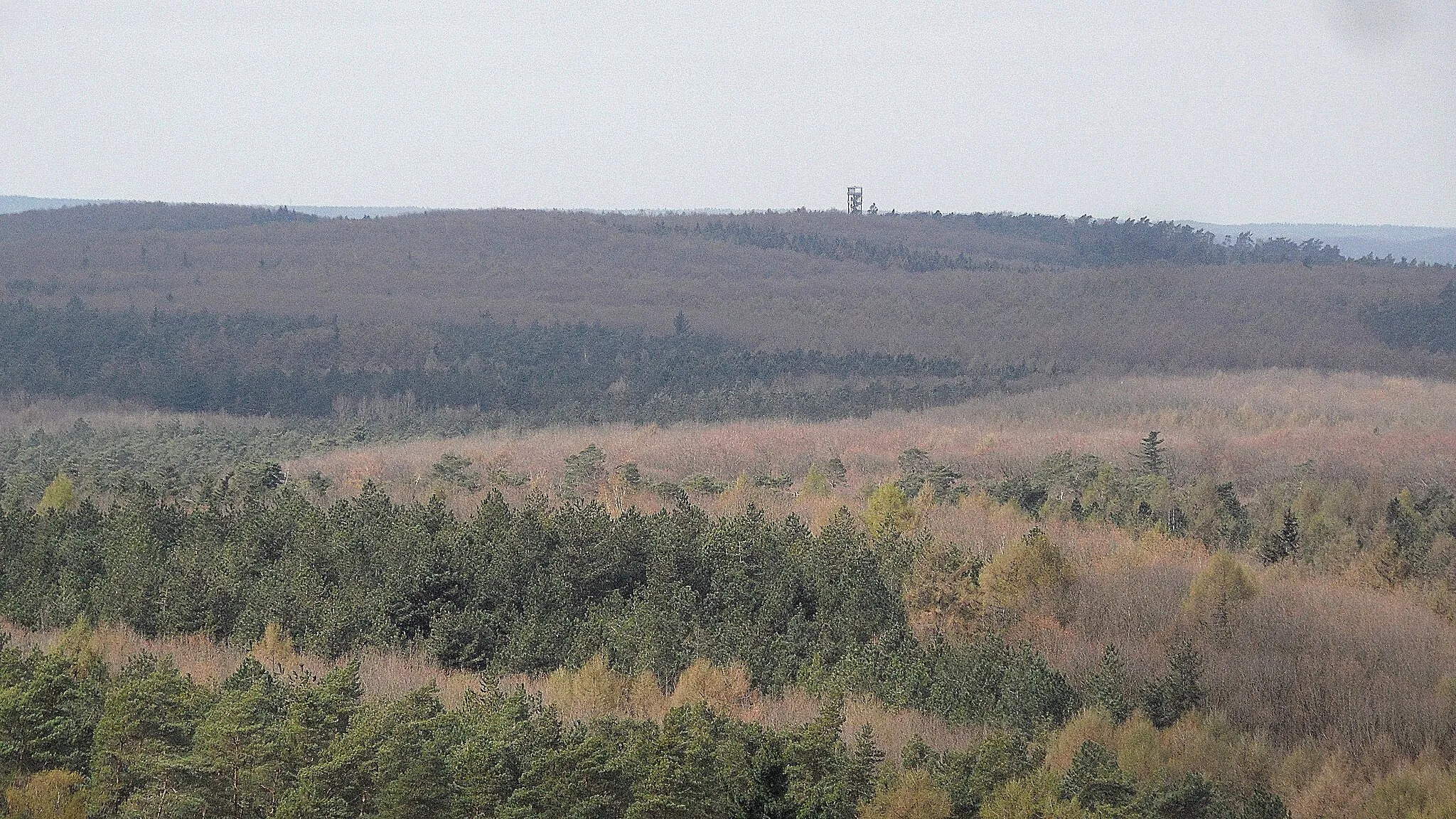 Photo showing: Rennberg/Haard (bis 139 m), ca. 3 km aus Süden vom Farnberg; März 2019