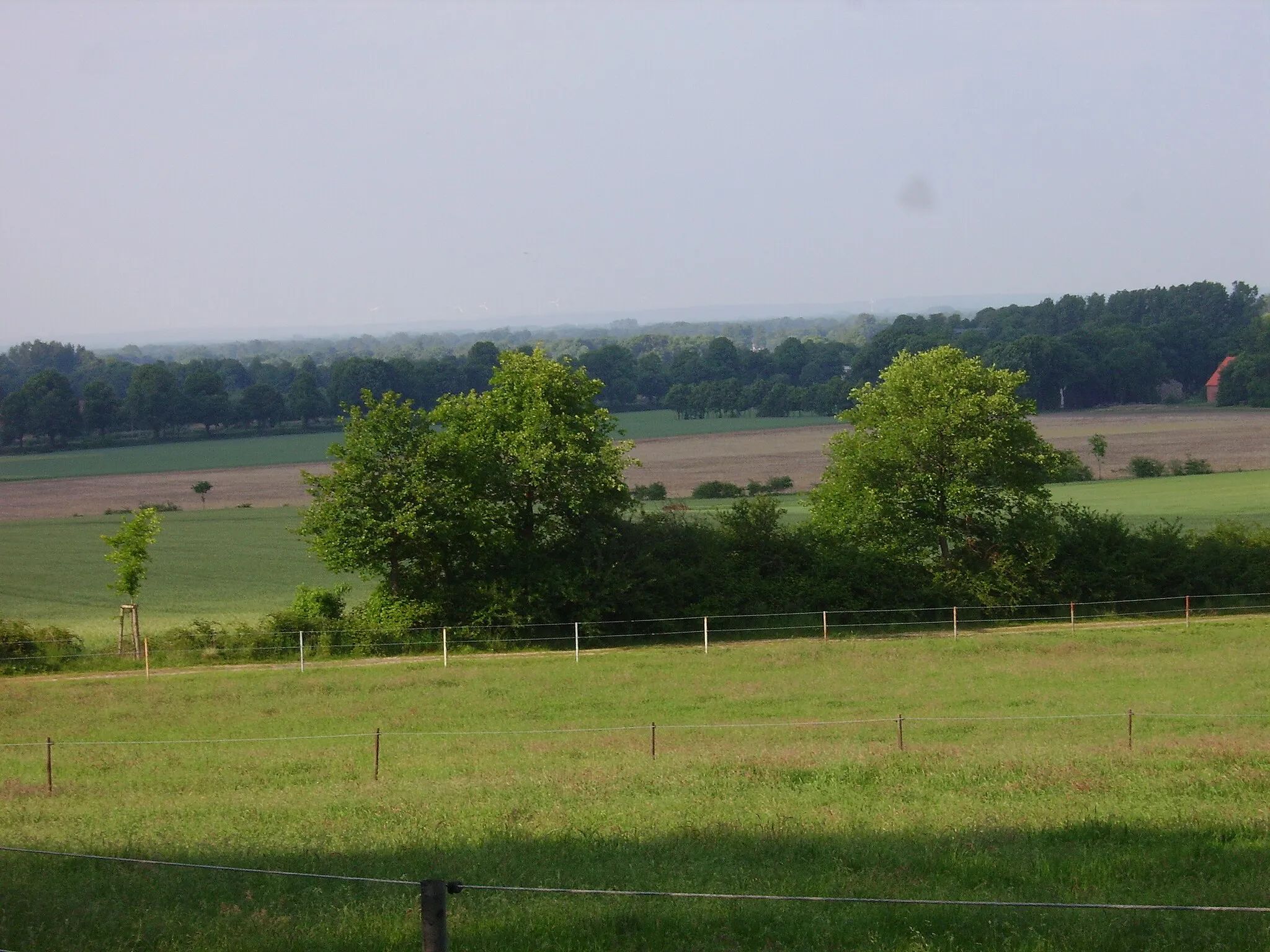 Photo showing: Am Kälberberg in Recke-Obersteinbeck, Kreis Steinfurt, Nordrhein-Westfalen, Deutschland.