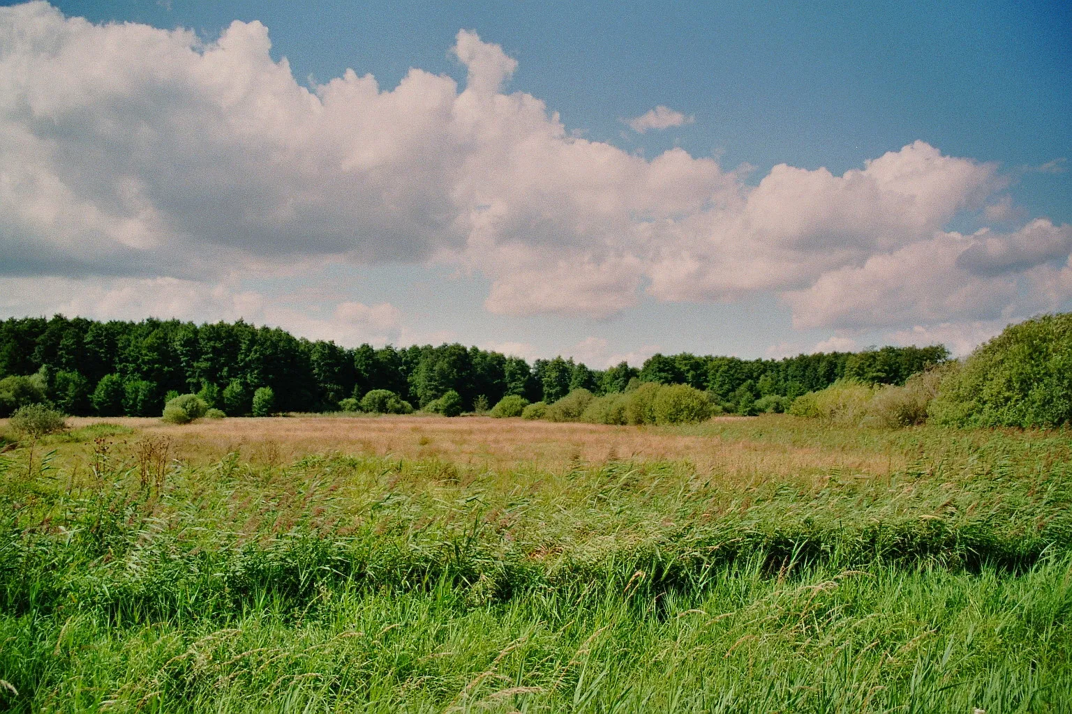 Photo showing: Nature reserve Heiliges Meer-Heupen in Recke-Obersteinbeck, Kreis Steinfurt, North Rhine-Westphalia, [Germany].