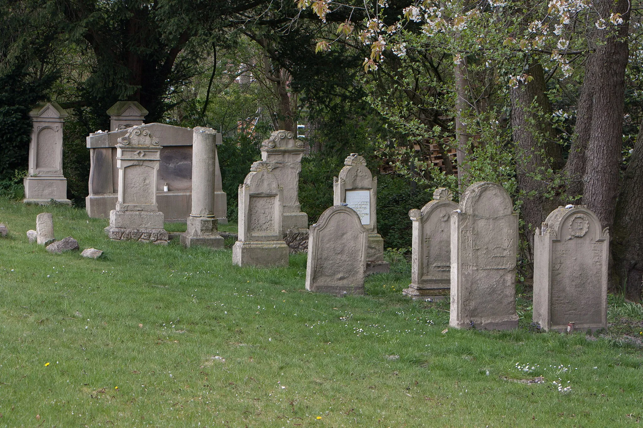 Photo showing: Billerbeck, Baudenkmal 66 Jüdischer Friedhof