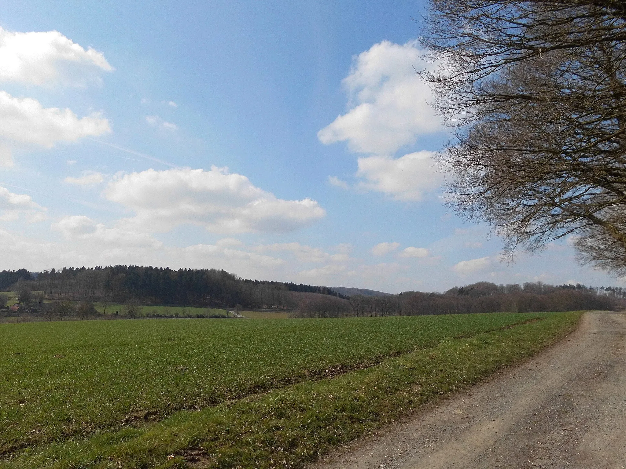 Photo showing: Landschaft an einem Wanderweg bei Leeden