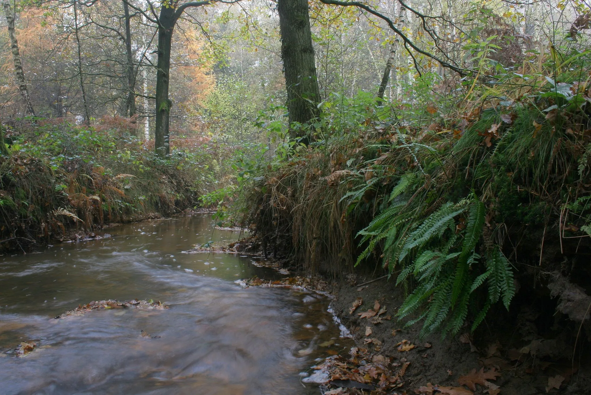 Photo showing: terrein natuurmonumenten