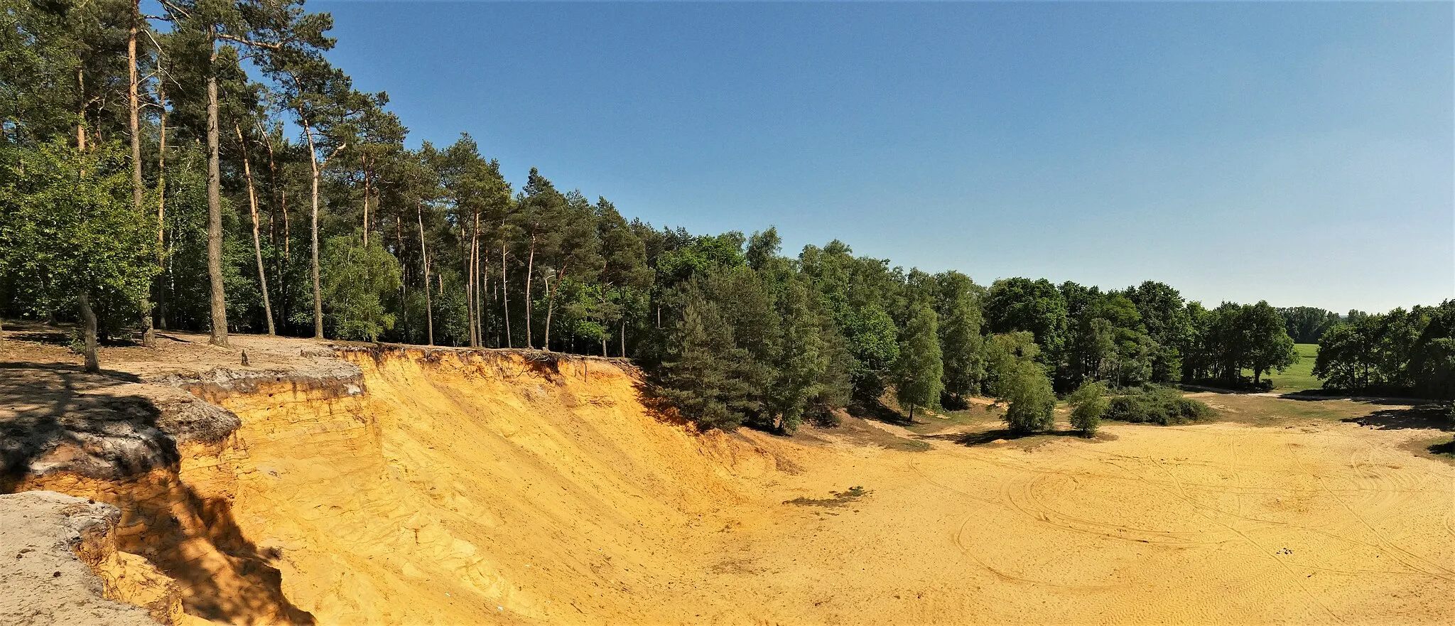 Photo showing: Sandsteinaufschluss im Landschaftsschutzgebiet Hünsberg-Monenberg im Kreis Coesfeld, NRW