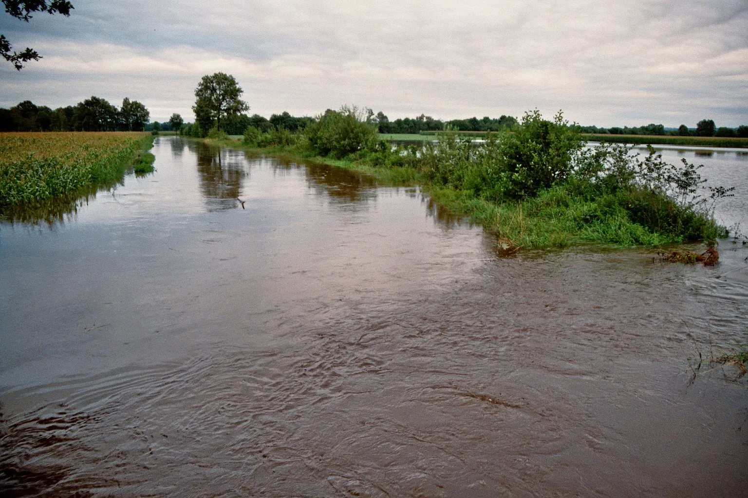Photo showing: August 2010 floods in the Tecklenburger Land: The River Aa in Recke-Espel, Kreis Steinfurt, North Rhine-Westphalia, Germany.