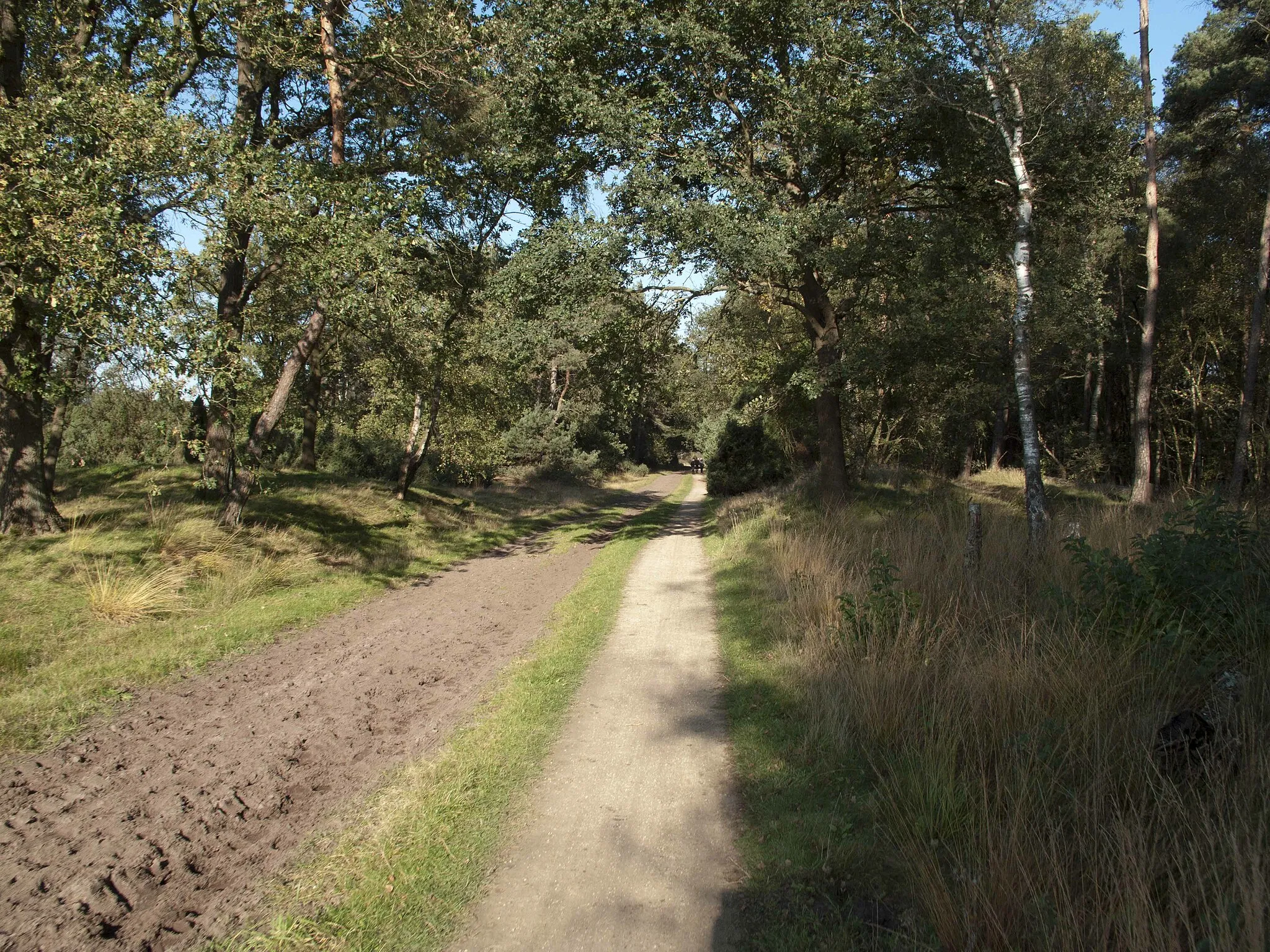 Photo showing: surroundings of Buurse