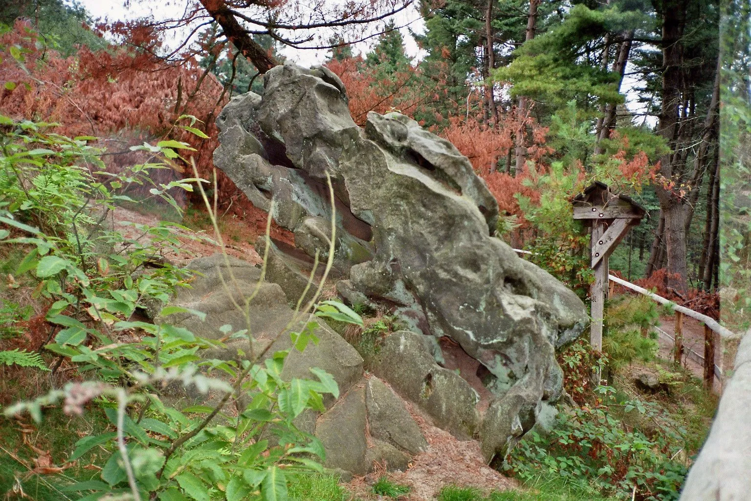 Photo showing: Felsformationen aus Schwartensandstein in der Haard am Stimberg in Oer-Erkenschwick