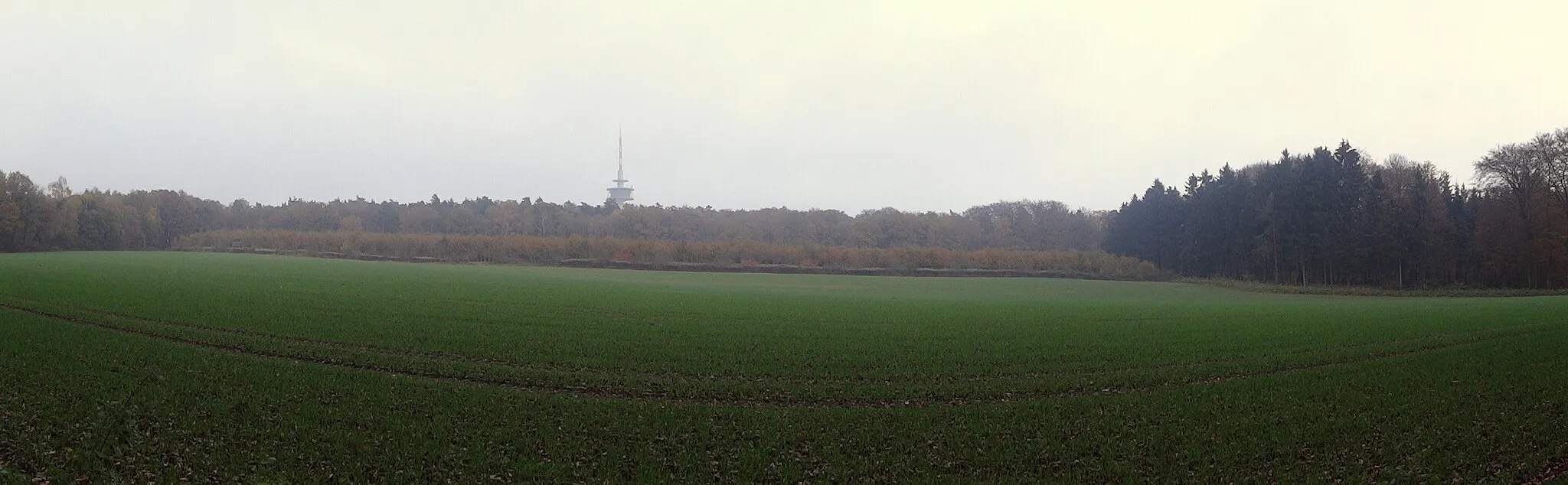 Photo showing: Hohe Mark-Panorama, im Hintergrund der Fernsehturm