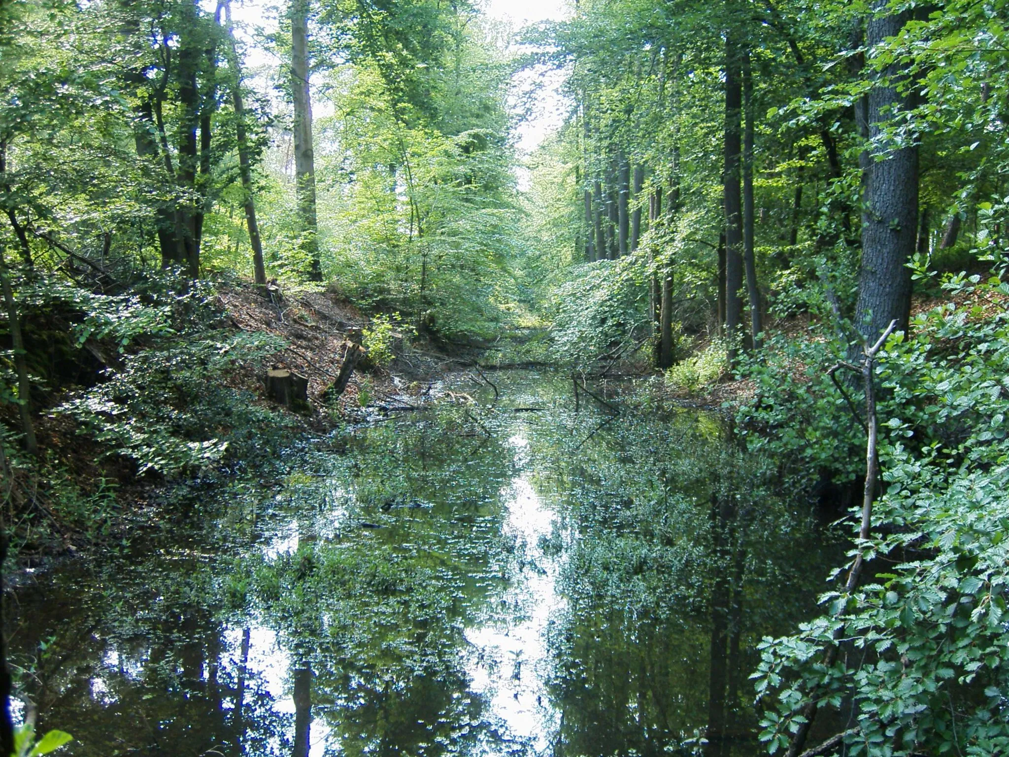 Photo showing: Max-Clemens-Kanal zwischen Clemenshafen und Maxhafen. Neuenkirchen (Kreis Steinfurt), ca. 500 m hinter Clemenshafen