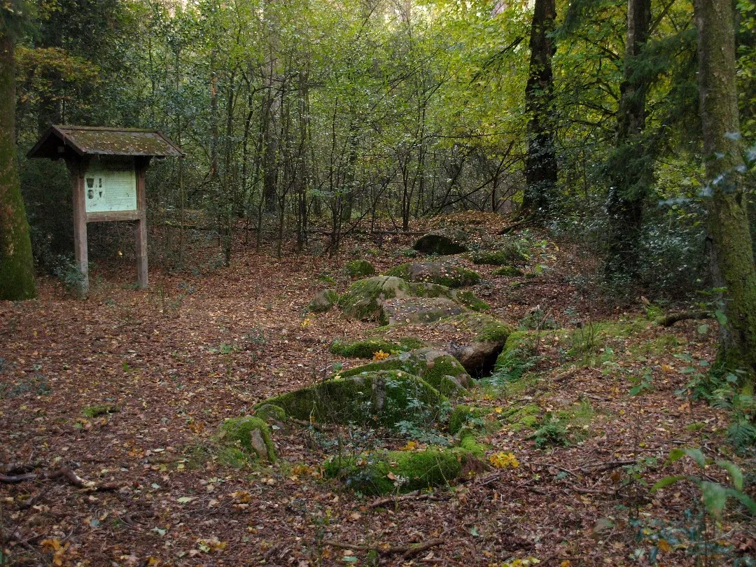 Photo showing: Megalithic tomb/dolmen in the Mundersumer Sand, near en:Lingen (Ems)