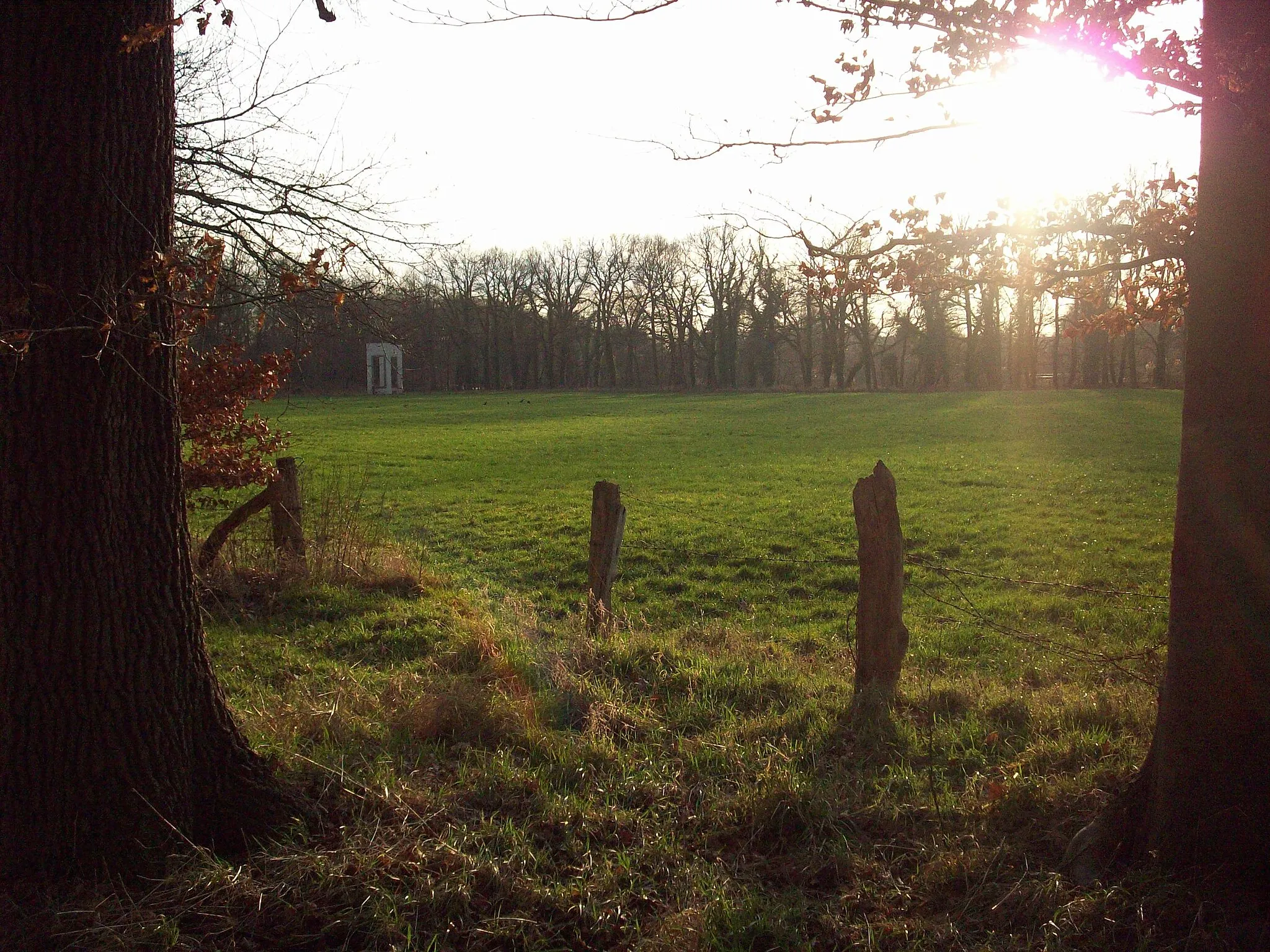 Photo showing: Bentlager Wald