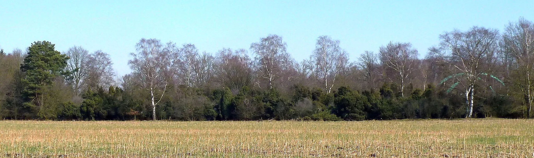 Photo showing: Panoramic view of natural reserve 'Hüttruper Heide' from West