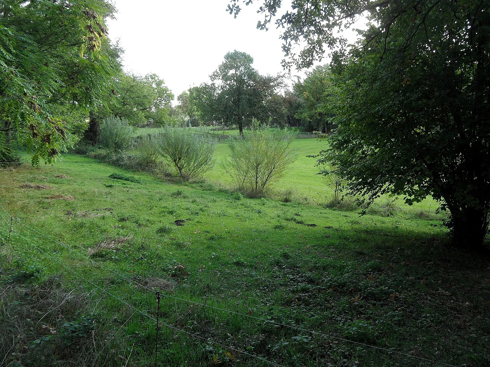 Photo showing: Dortmund-Schwieringhausen: Tal des Schwieringhauser Baches, Blick talauf; September 2018