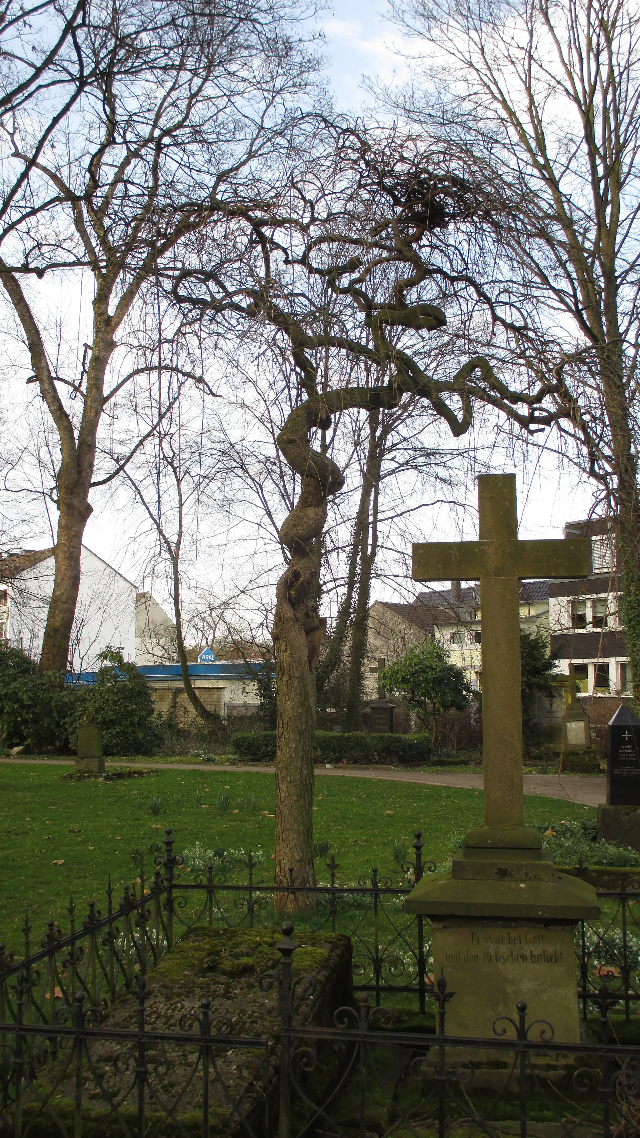 Photo showing: Alter Friedhof am Lohtor.