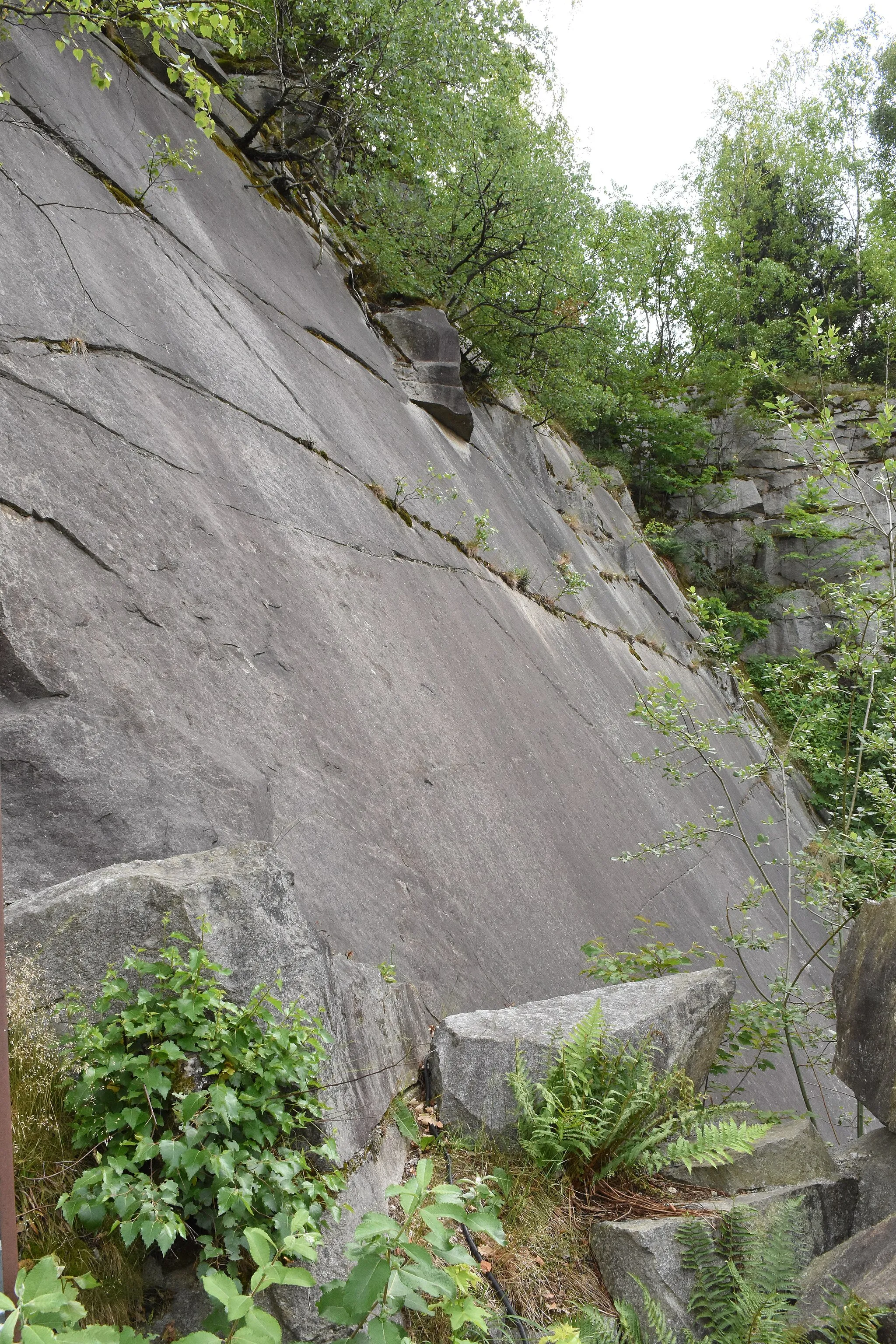 Photo showing: Hartgestein; Granitsteinwand; Hauzenberger Granit