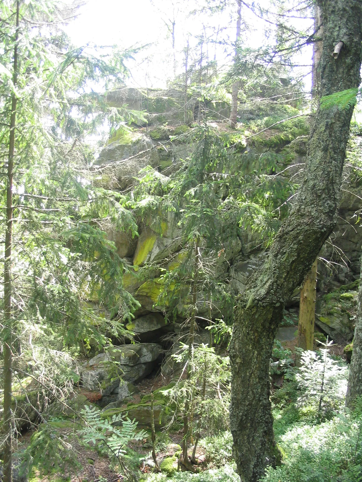 Photo showing: Bischofsmais, Felsenam Teufelstisch, aufgenommen am 26.07.2007 von Dr. Hagen Graebner