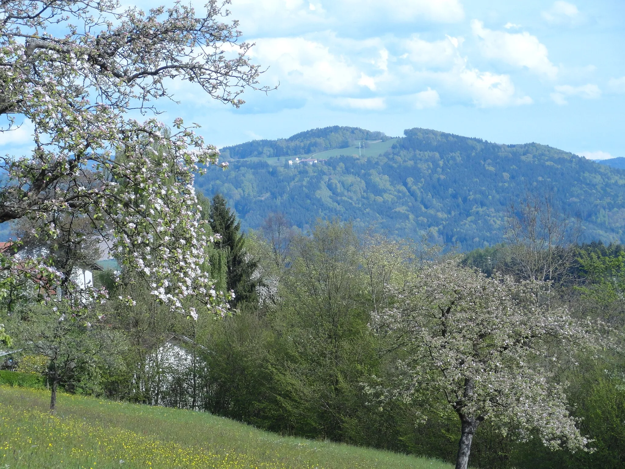 Photo showing: Blick von Schönstein zum Gallner Berg mit Ort Gallner