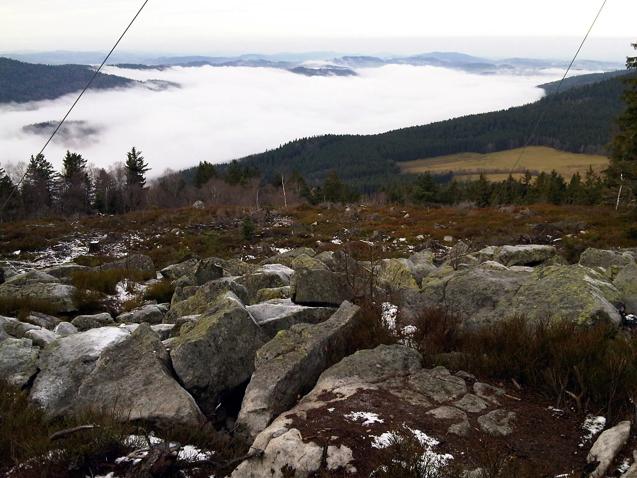 Photo showing: Blick vom Gipfel der Käsplatte Richtung West