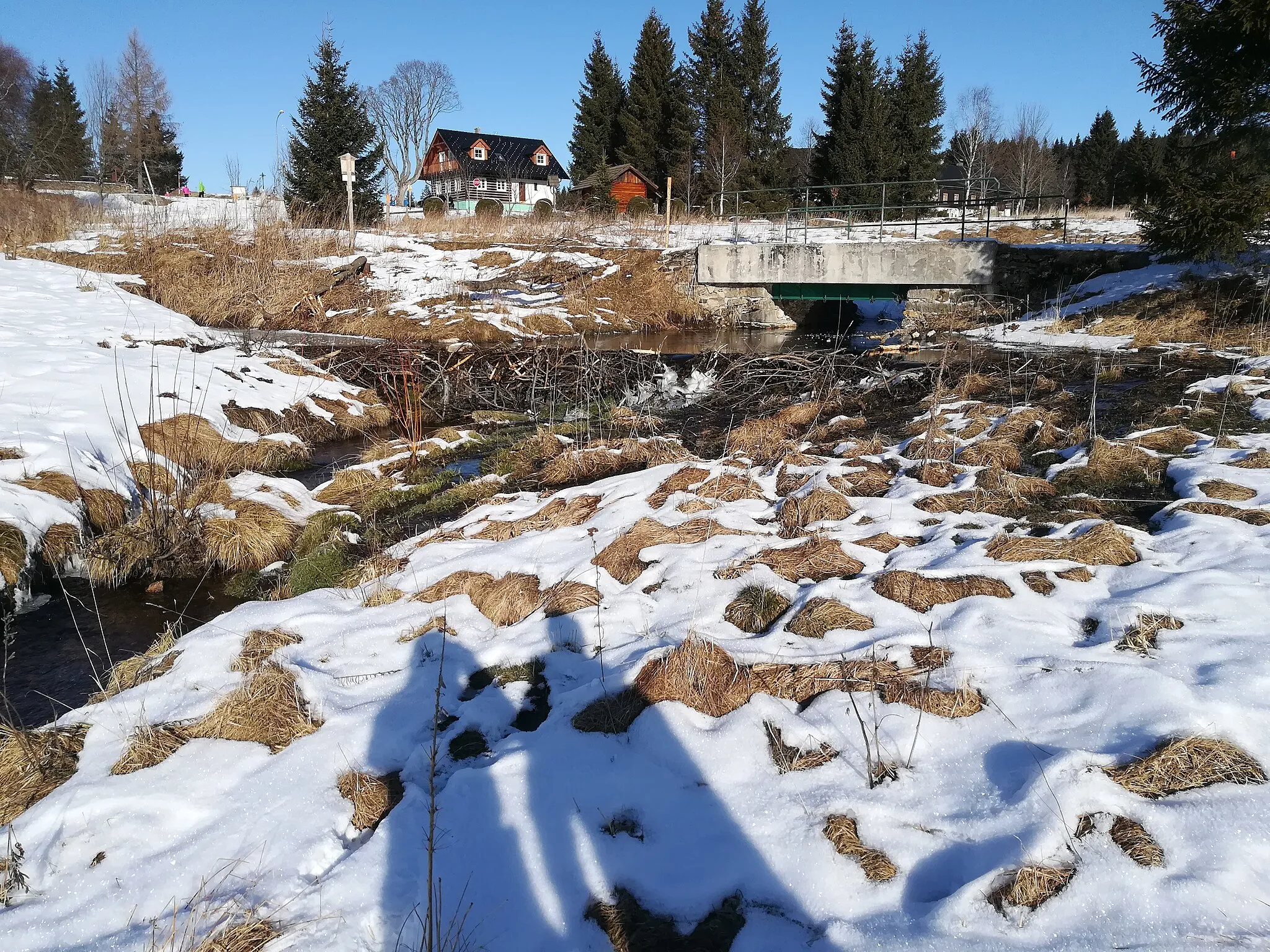 Photo showing: The brook „Filipohuťský potok“ in the Šumava Mts., Czech republic. The beaver dam is clearly visible in the foreground. January 2020.