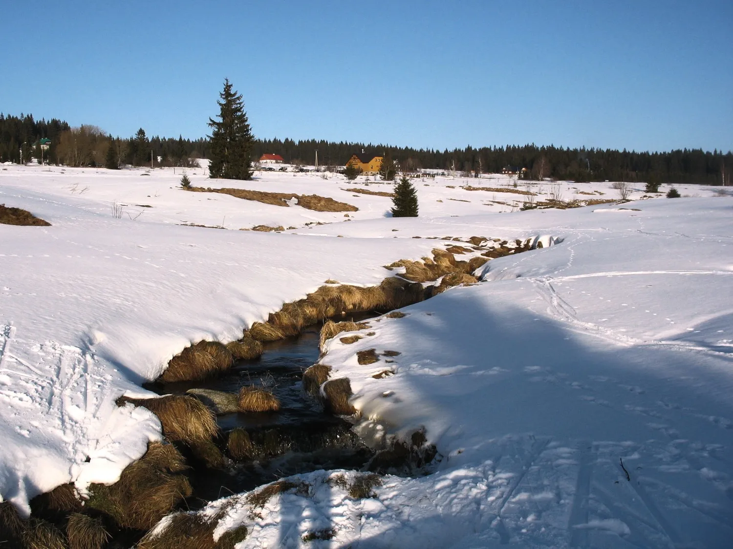 Photo showing: The brook Filipohuťský potok in the Šumava Mts., Czech republic