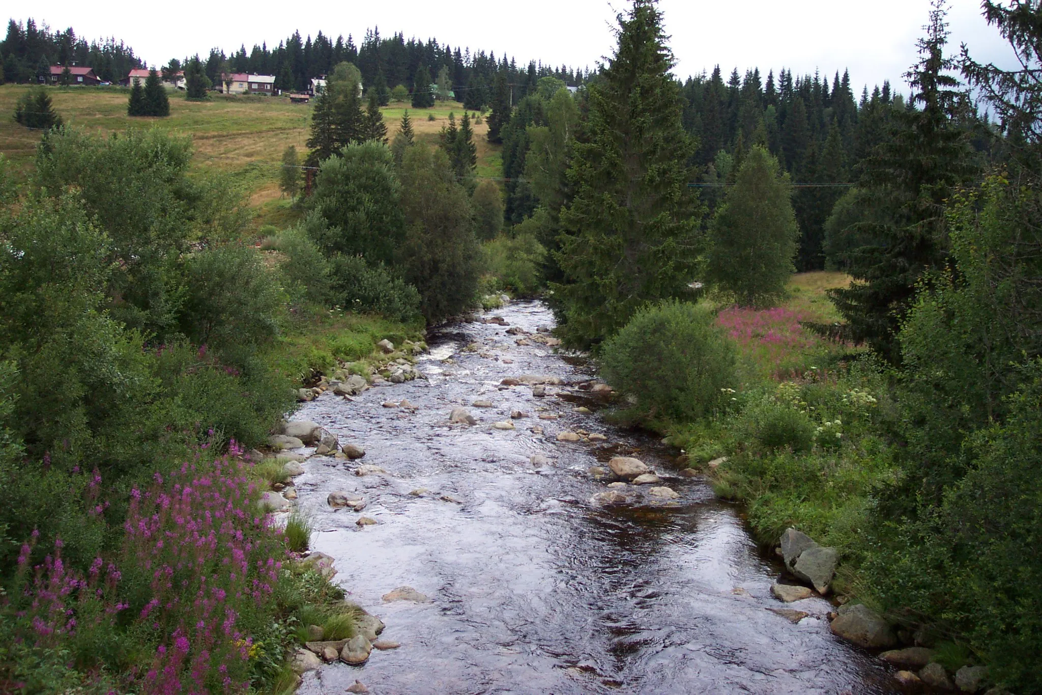 Photo showing: Šumava, Czech republic, River in Modrava village - Šumava, řeka na Modravě