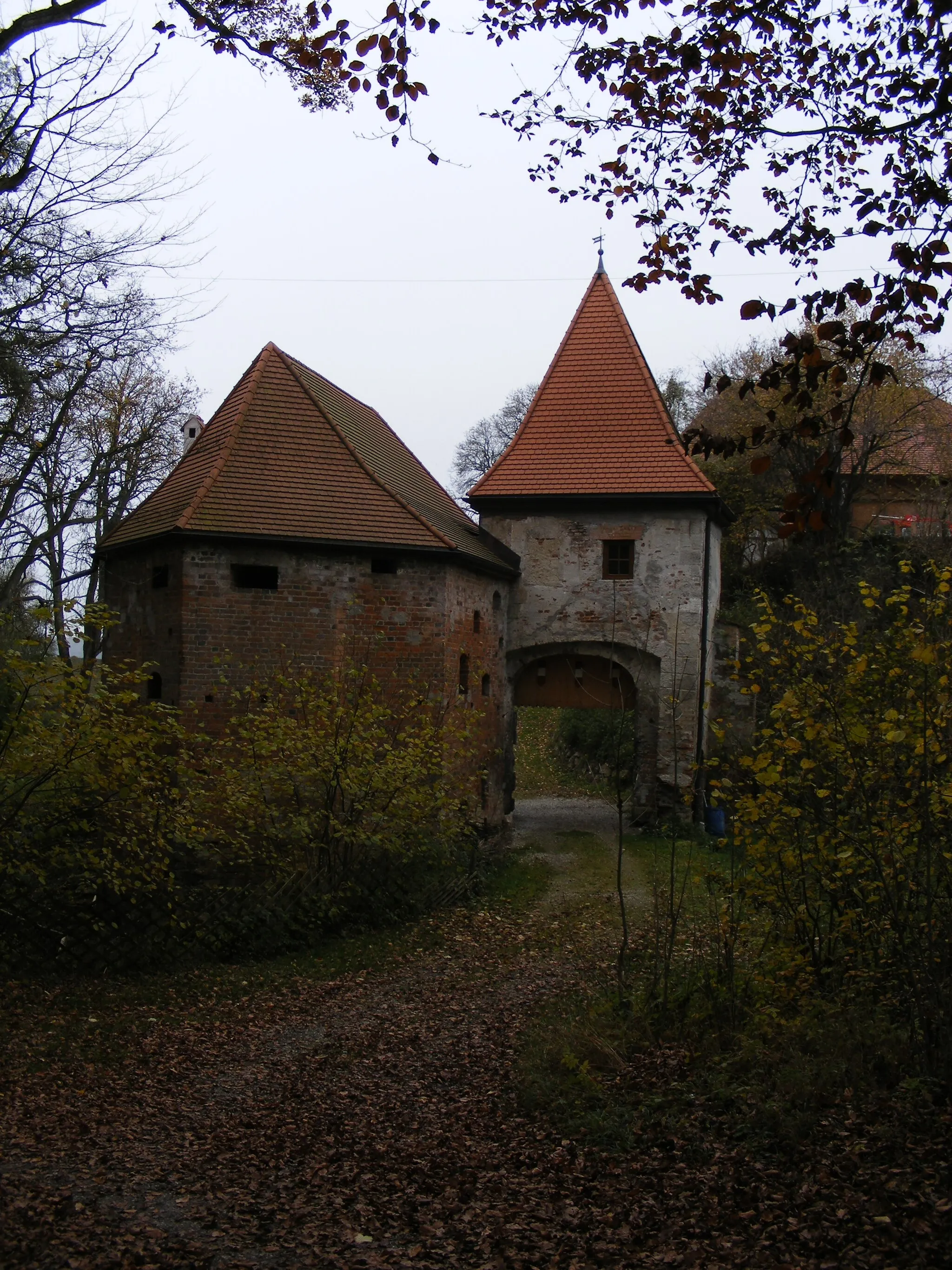 Photo showing: Burg Frauenstein bei Mining, Oberösterreich