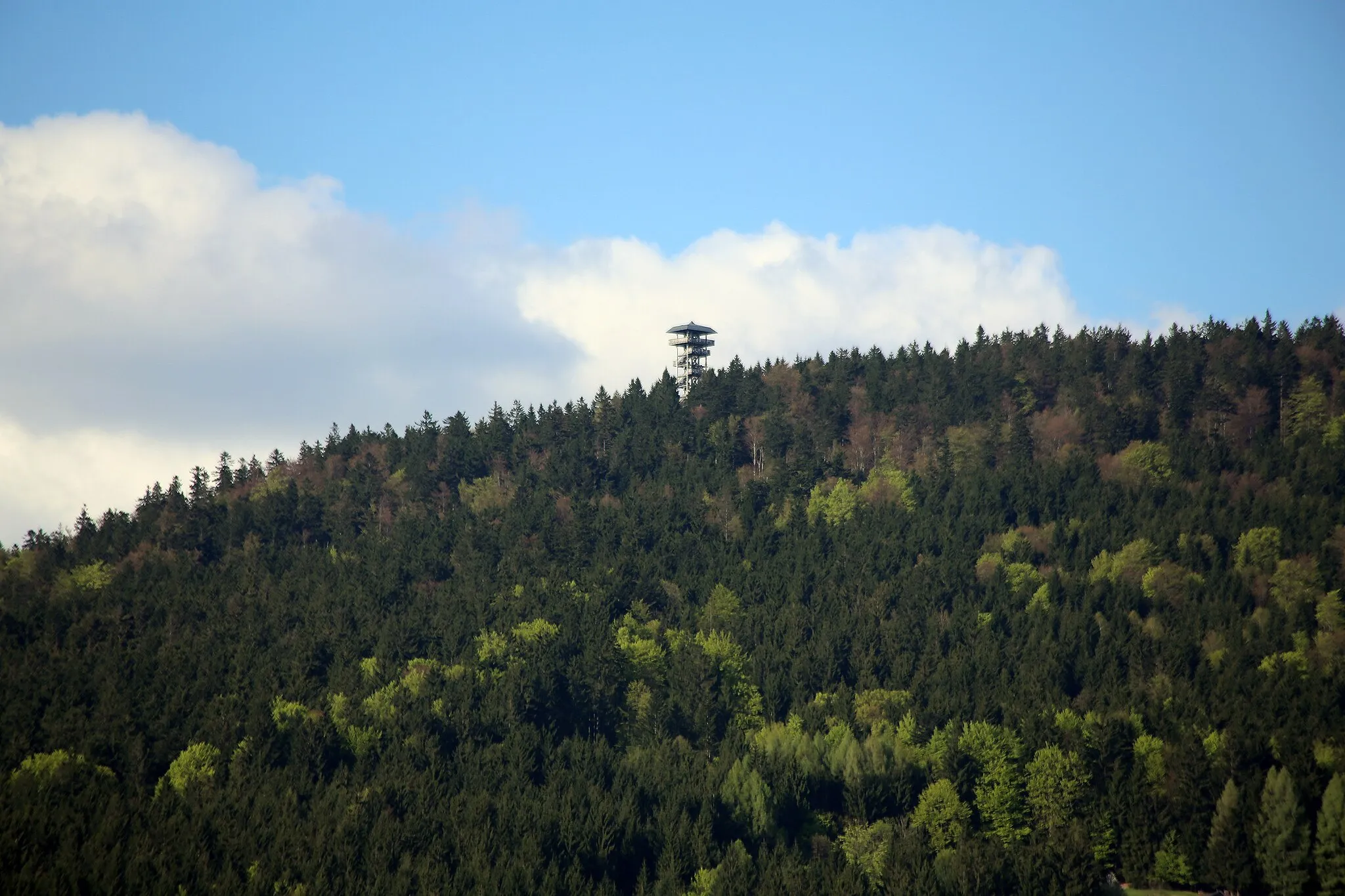 Photo showing: Bohemian Forest seen from Ulrichsberg, Upper Austria)