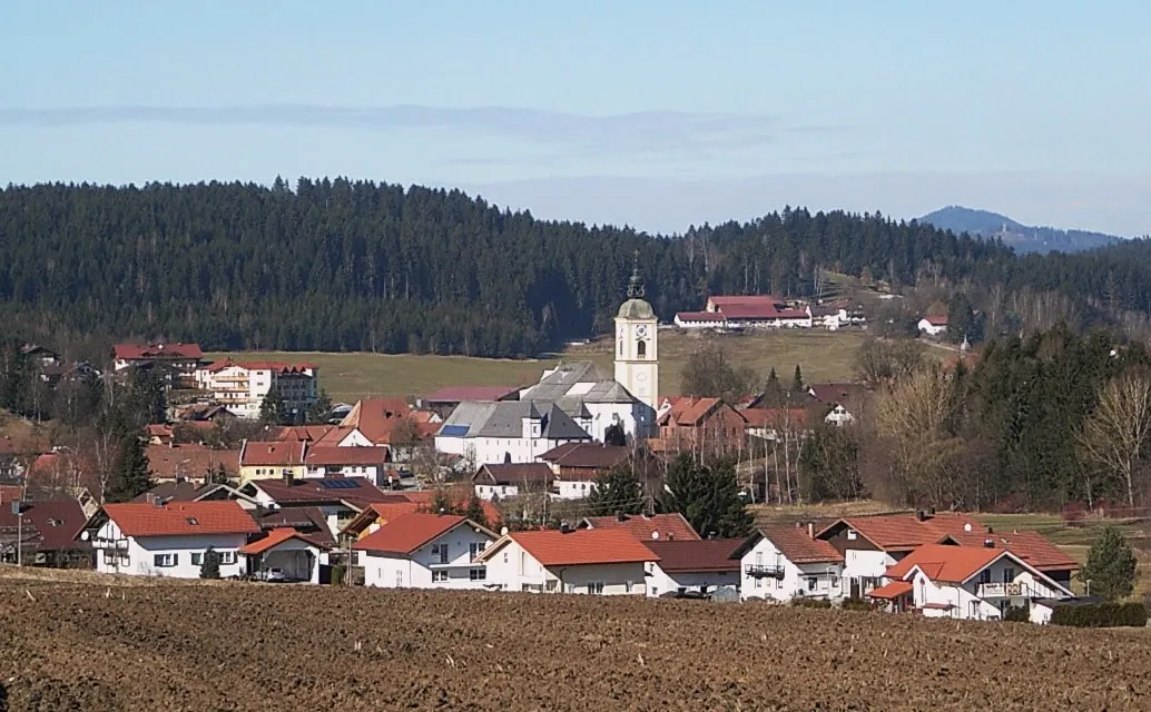 Photo showing: General view of Rinchnach from south-east.