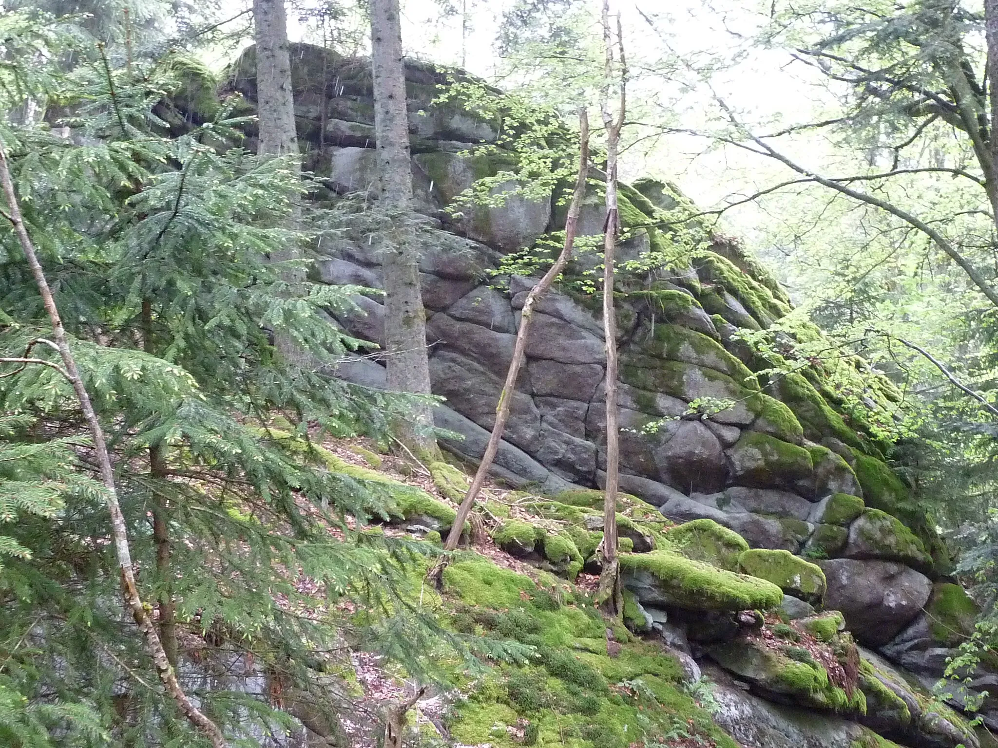 Photo showing: Wollsackähnliche Felsen im Gipfelbereich des Bernhardsnagels; Gemeinde Rattenberg.
Die Felsformationen gehören zu den Geotopen im Lkrs. Straubing-Bogen mit der Nr. 278R008.