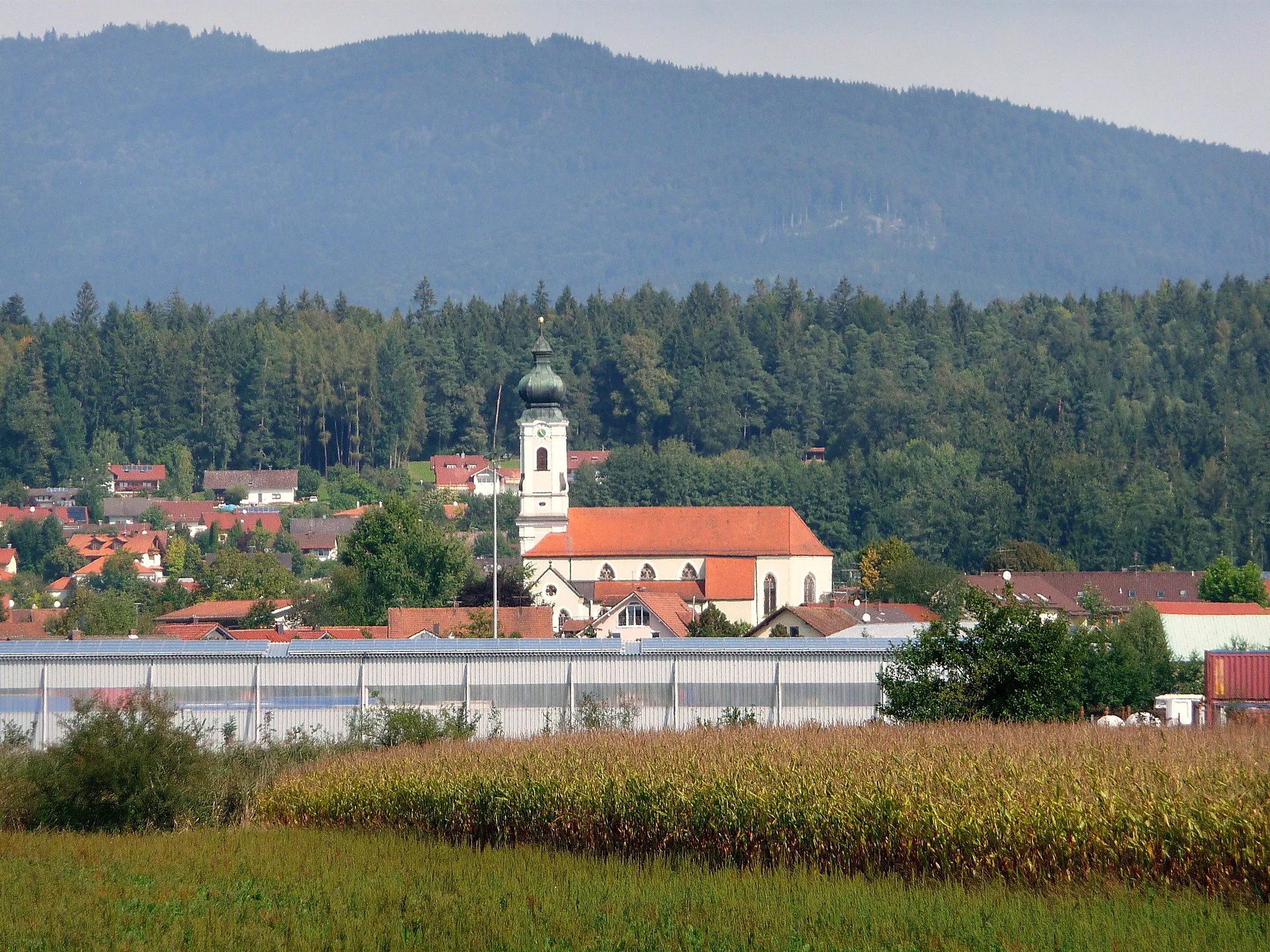Photo showing: Blick auf Neuhausen mit der Pfarrkirche St.Vitus