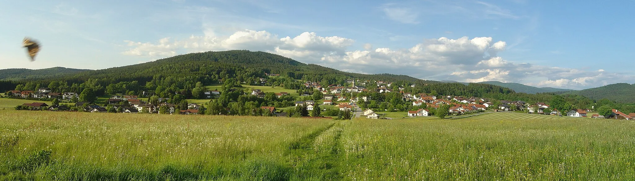 Photo showing: Panoramaview of Böbrach