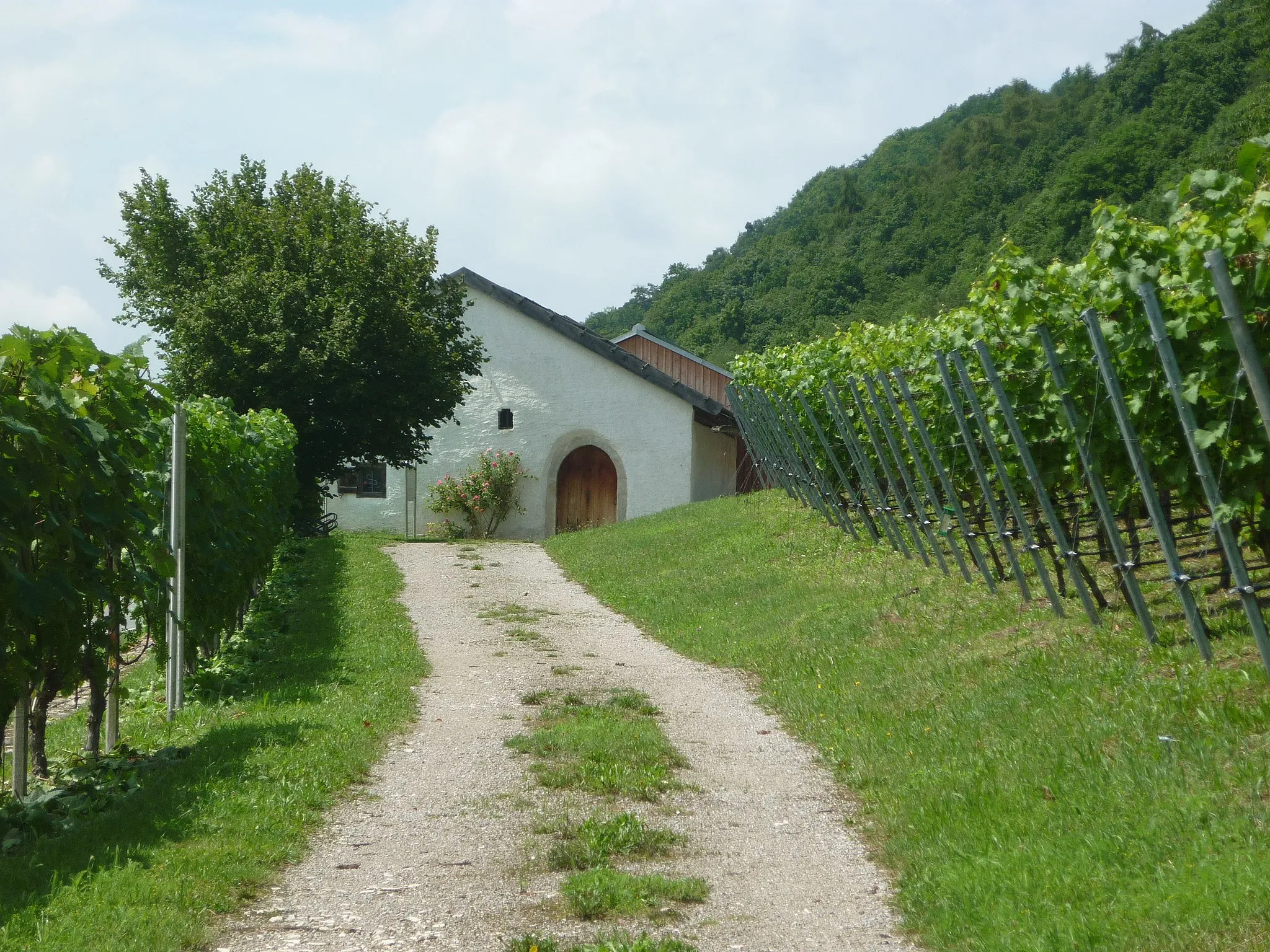 Photo showing: Baierweinmuseum Bach a. d. Donau