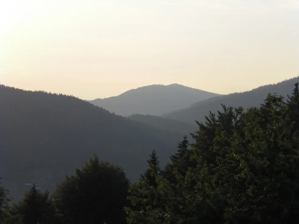 Photo showing: A picture of Vogelsang, Bavaria, from Grafling towards the northwest