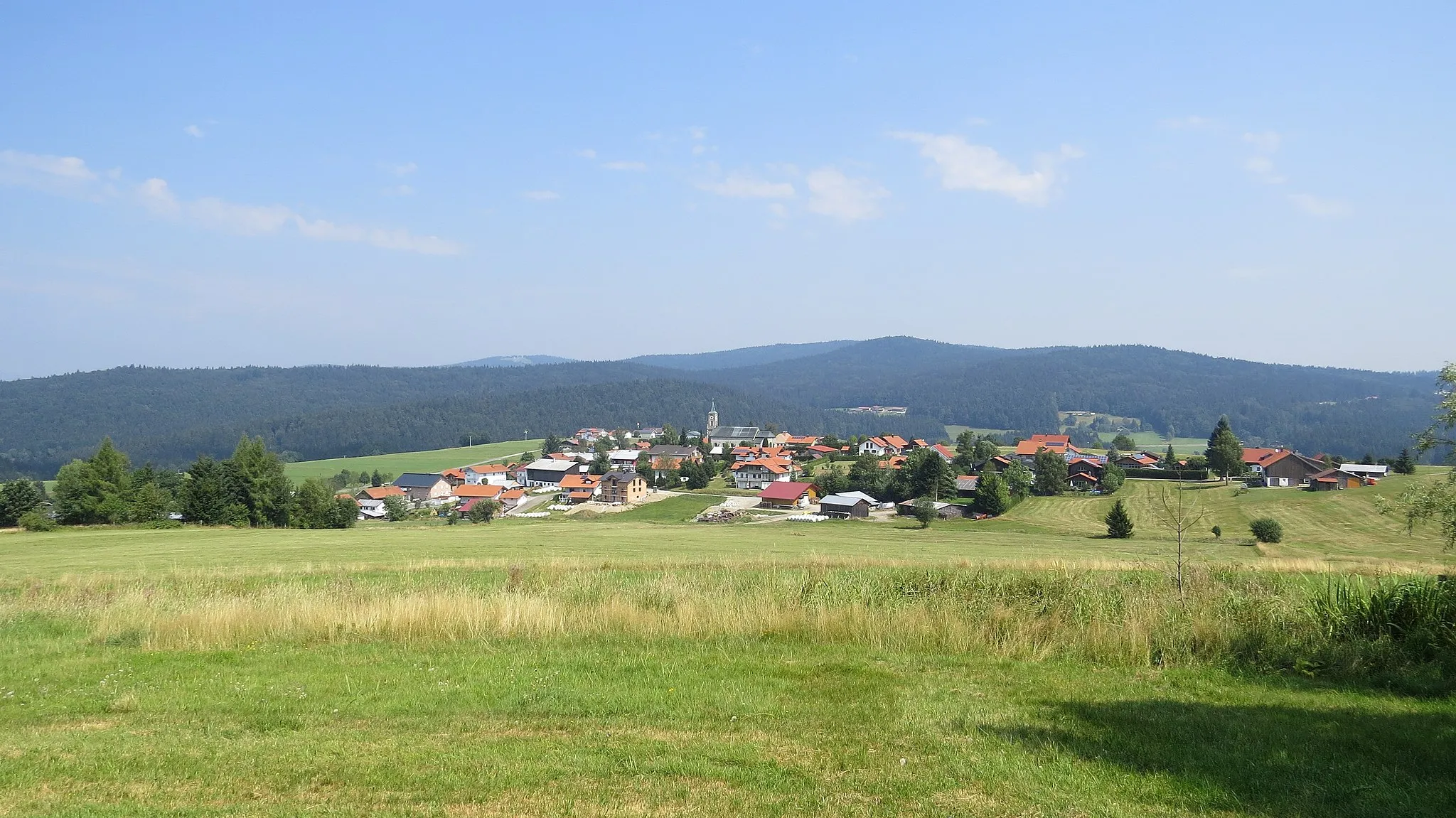 Photo showing: Herzogsreut von Süden, Hinterschmiding