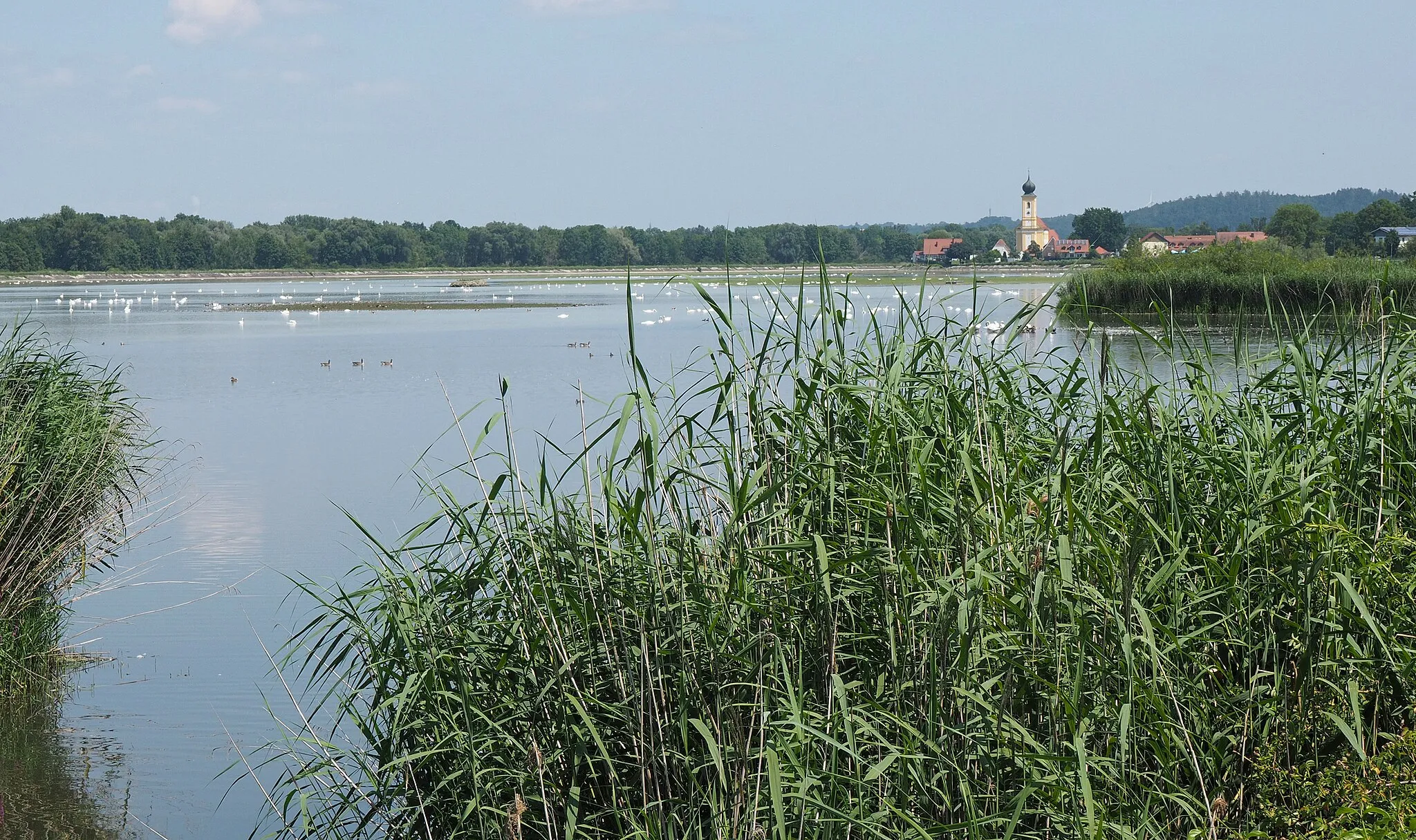 Photo showing: Echinger Stausee im Naturschutzgebiet Vogelfreistätte Mittlere Isarstauseen.