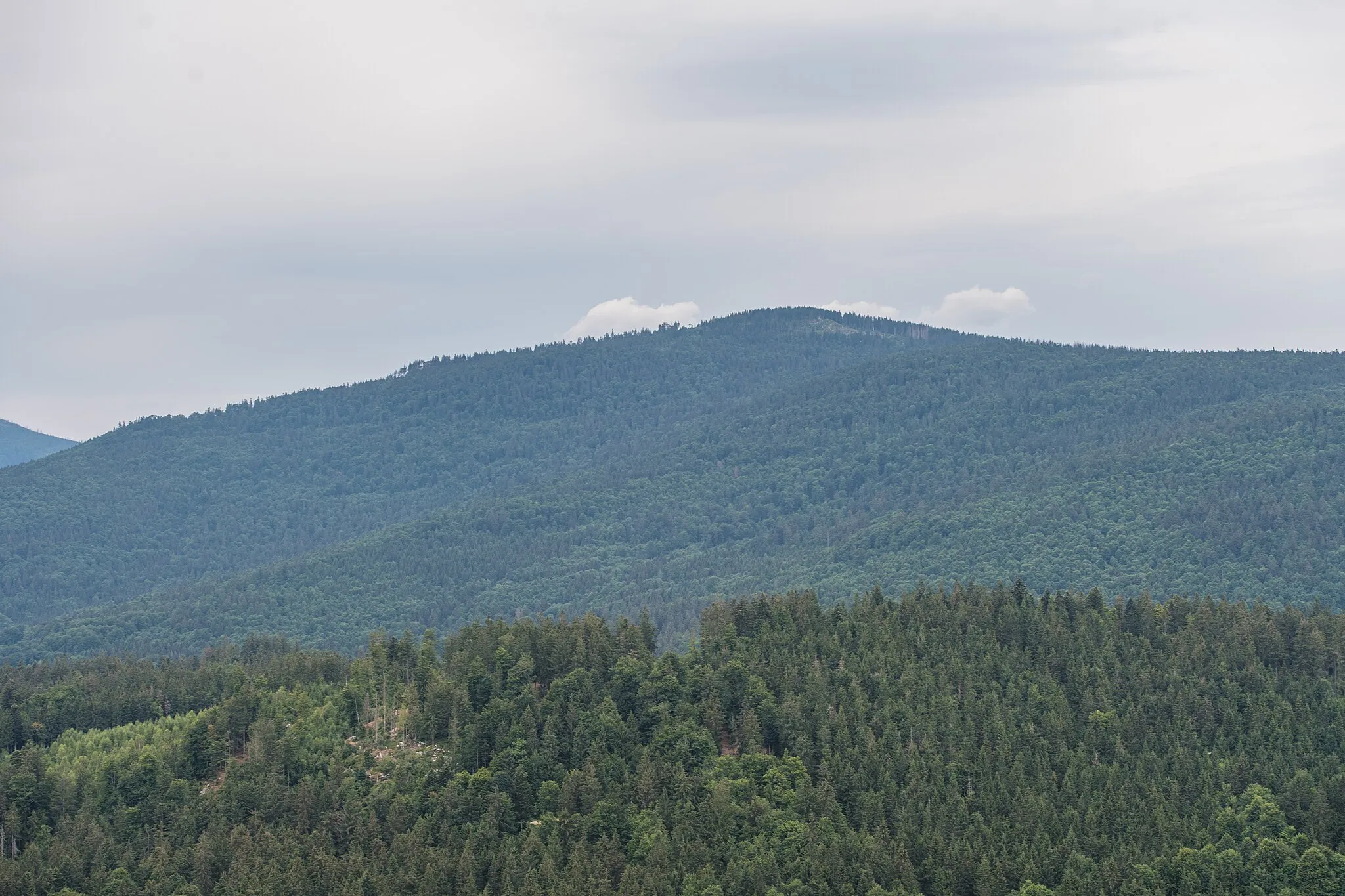 Photo showing: 23.07.2022: Wiki takes Böhmerwald; Blick vom Aussichtsturm Alpenblick in Richtung Sperrbühel im Europaschutzgebiet Böhmerwald und Mühltäler