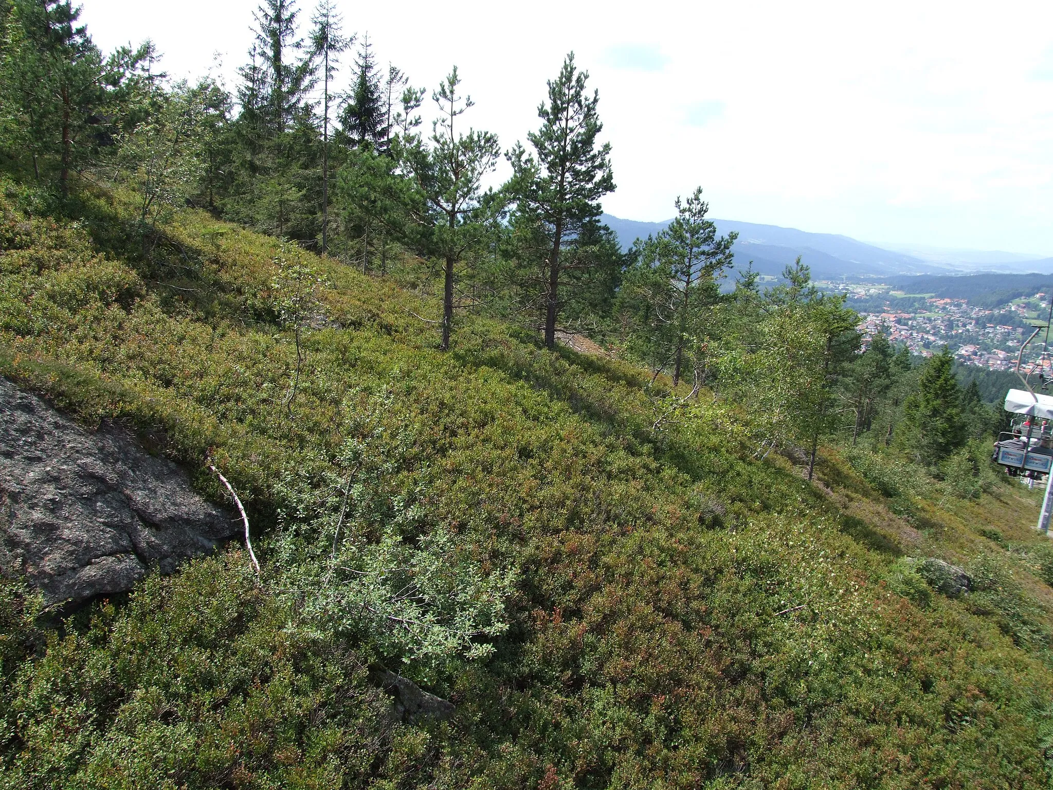 Photo showing: Blick von der Seilbahn Silberberg auf den kaum bewaldeten Hang; Bodenmais