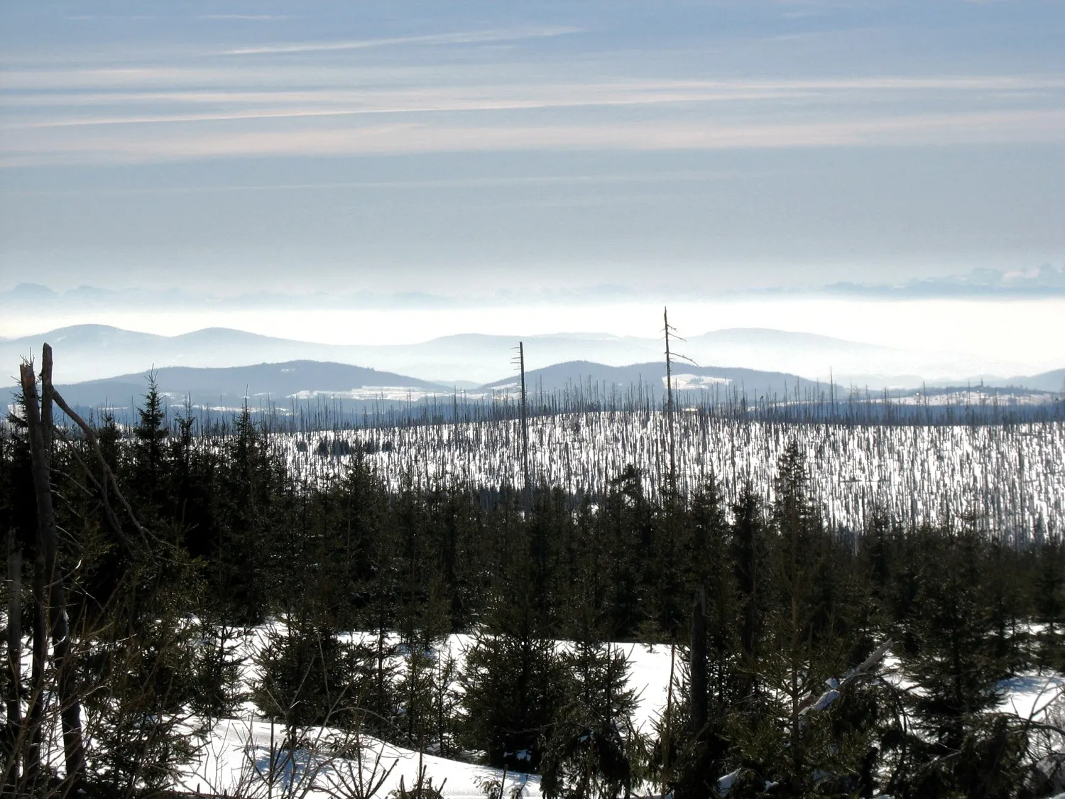 Photo showing: The view of the Alps from the mountain Černá hora in the Šumava Mts., Czech republic