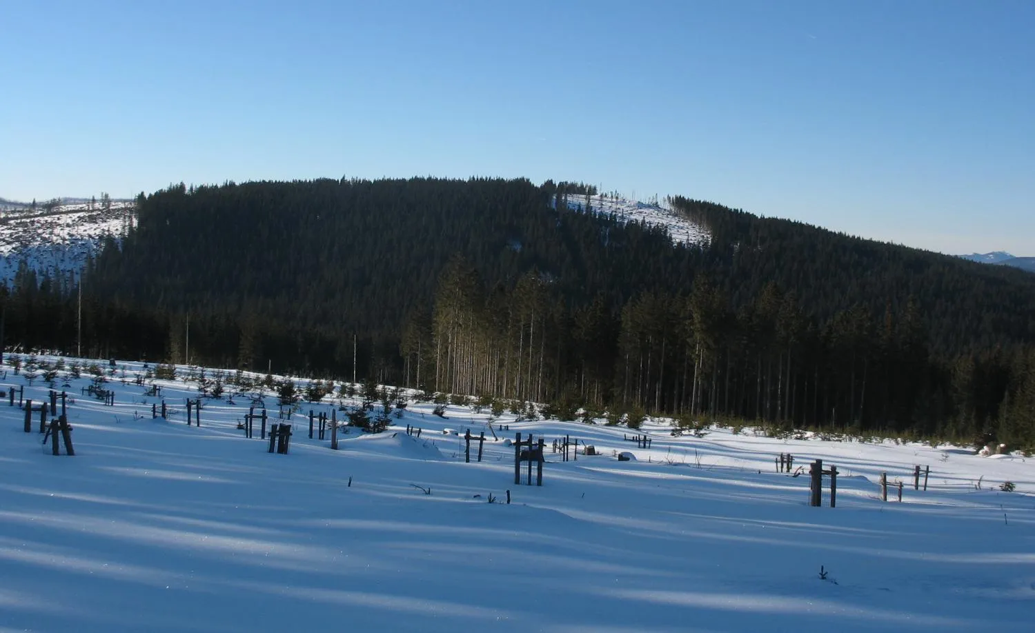 Photo showing: Mountain Černá hora in the Šumava Mts. in Czech republic