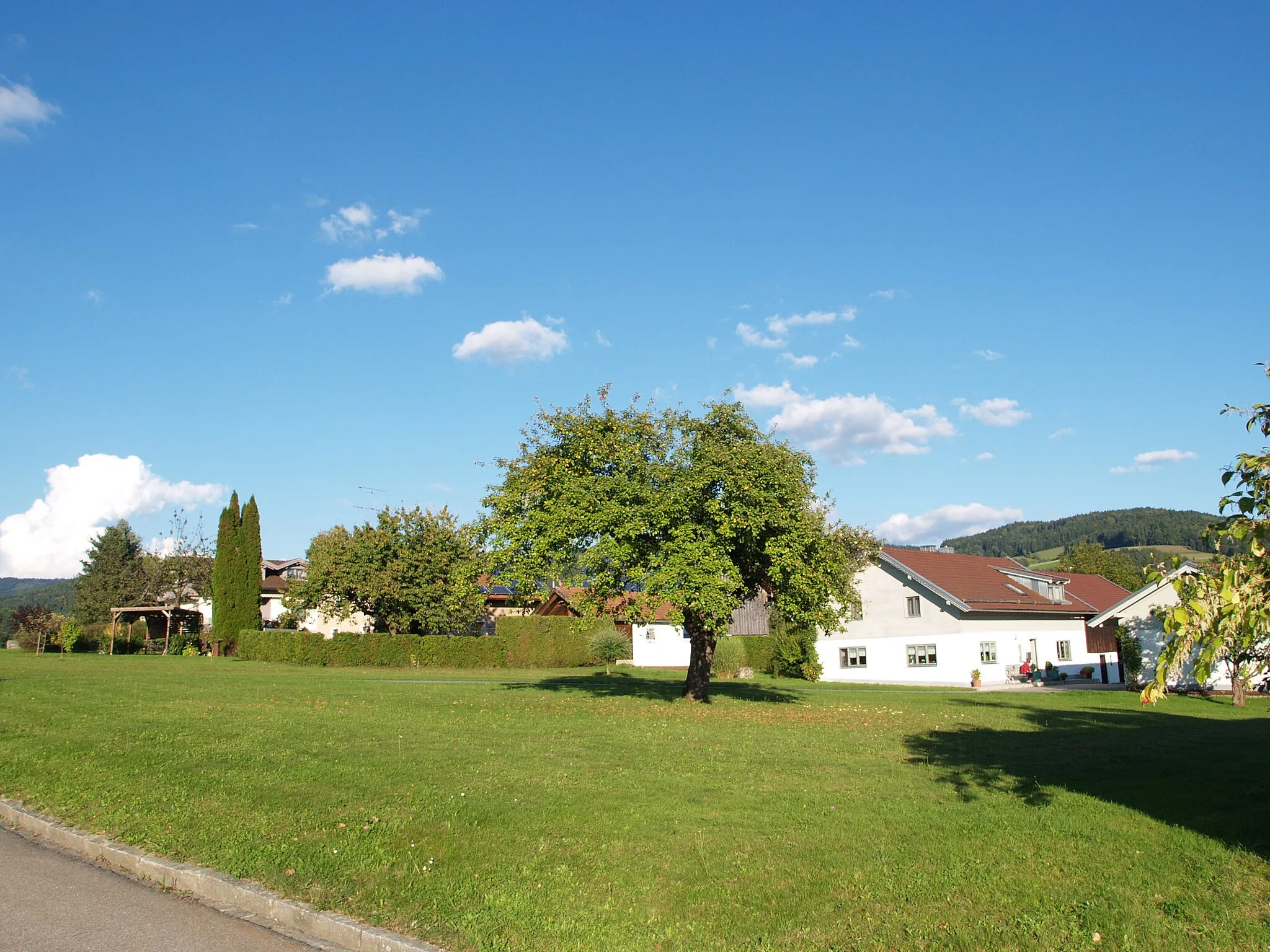 Photo showing: Leimbühlholz, Ortsteil von Haselbach (Niederbayern)