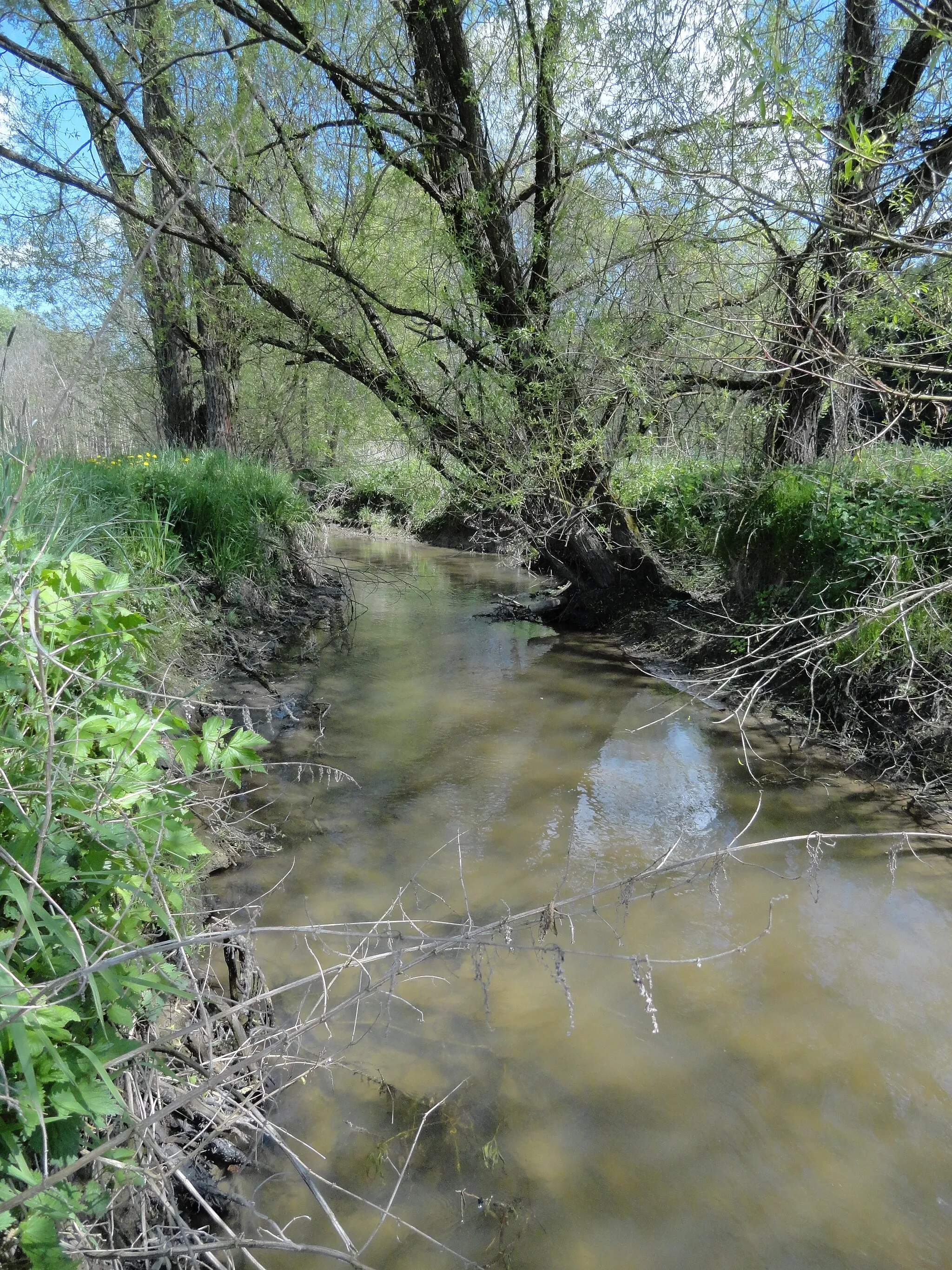 Photo showing: Menach in Haselbach im Abschnitt zwischen Frommried und Rothhäusl